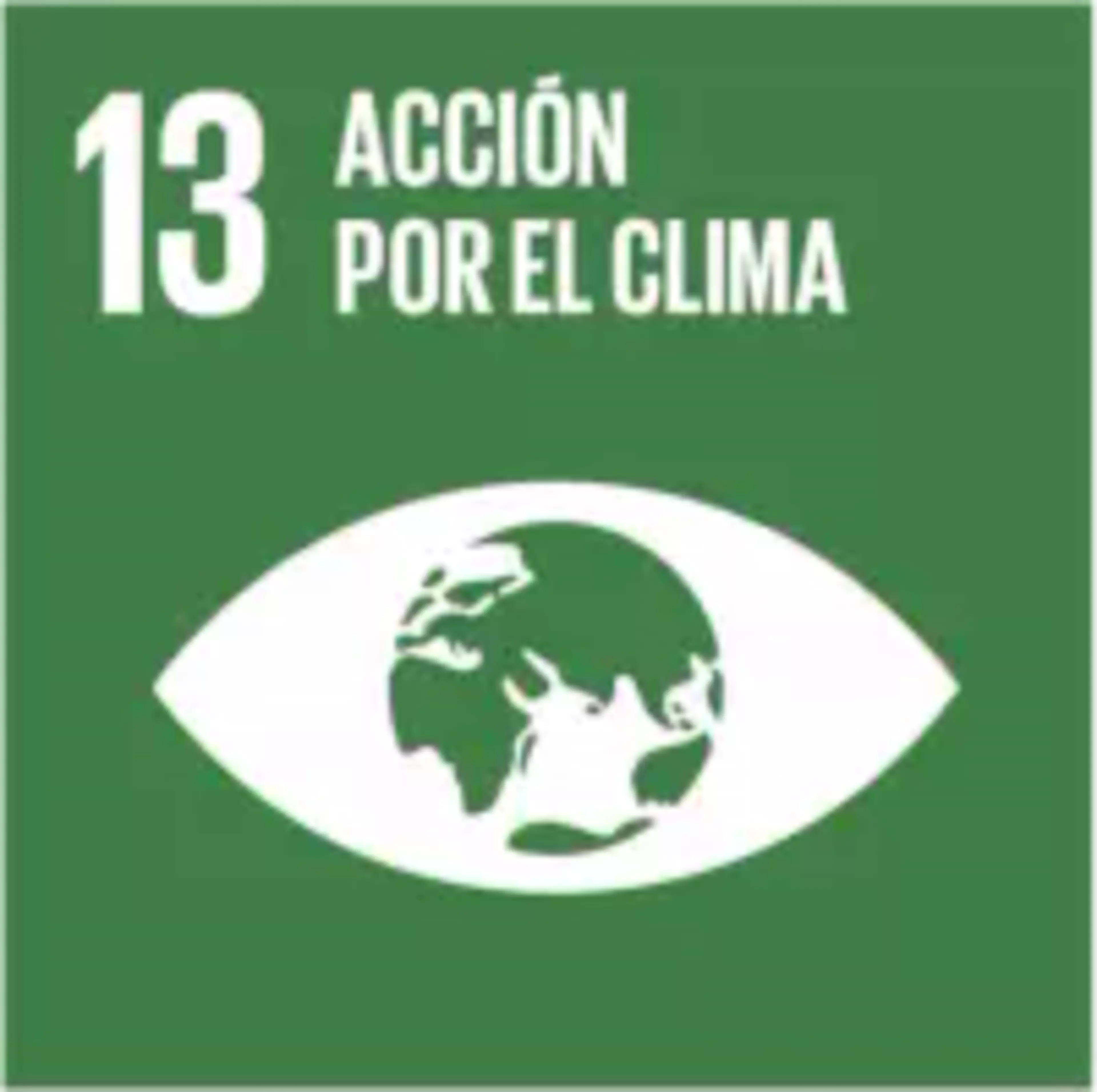 ODS 13 - Acción por el clima