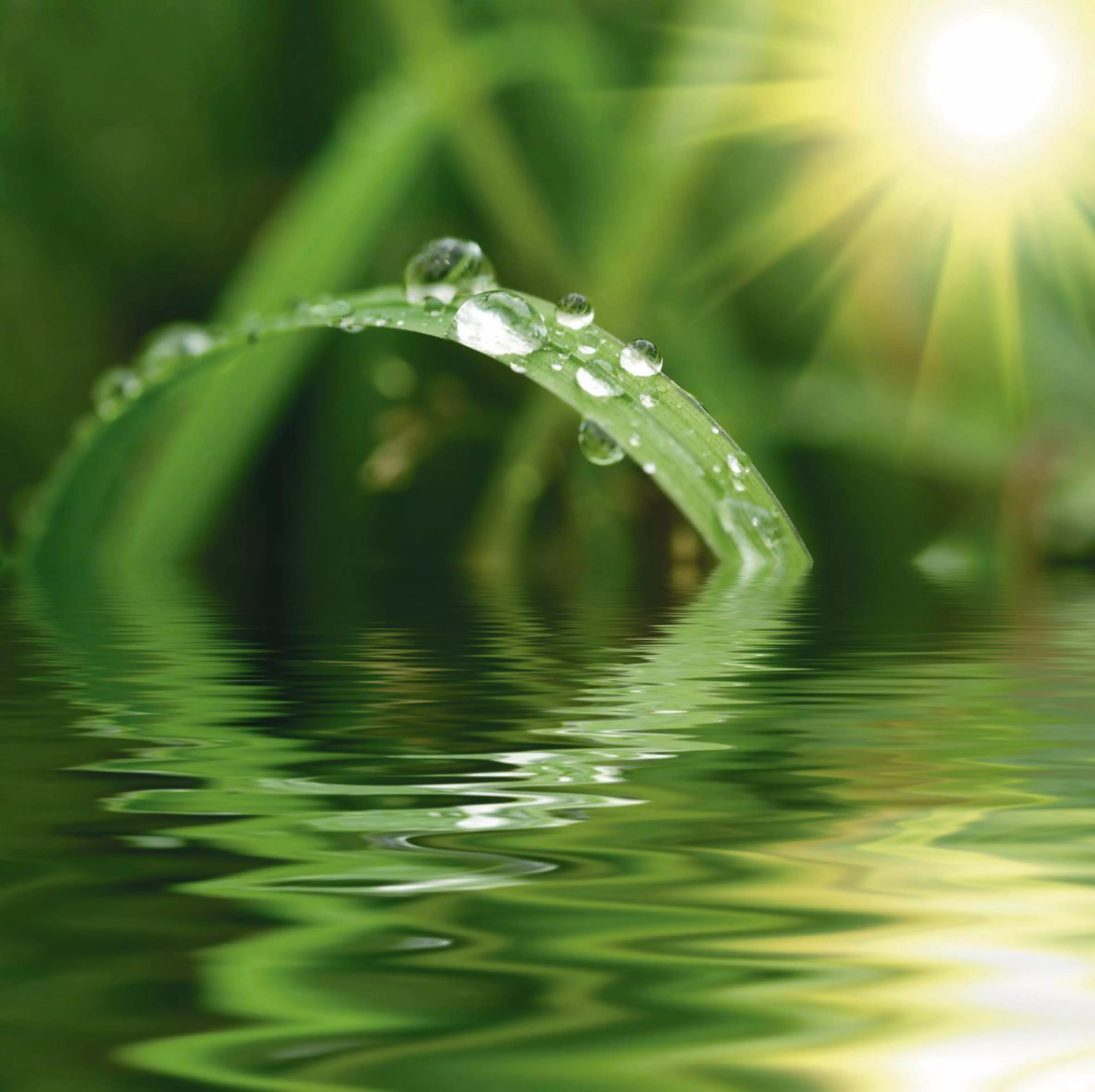 Konica Minolta named to all ESG Indexes adopted by the GPIF and included in the FTSE4Good Index  (1)