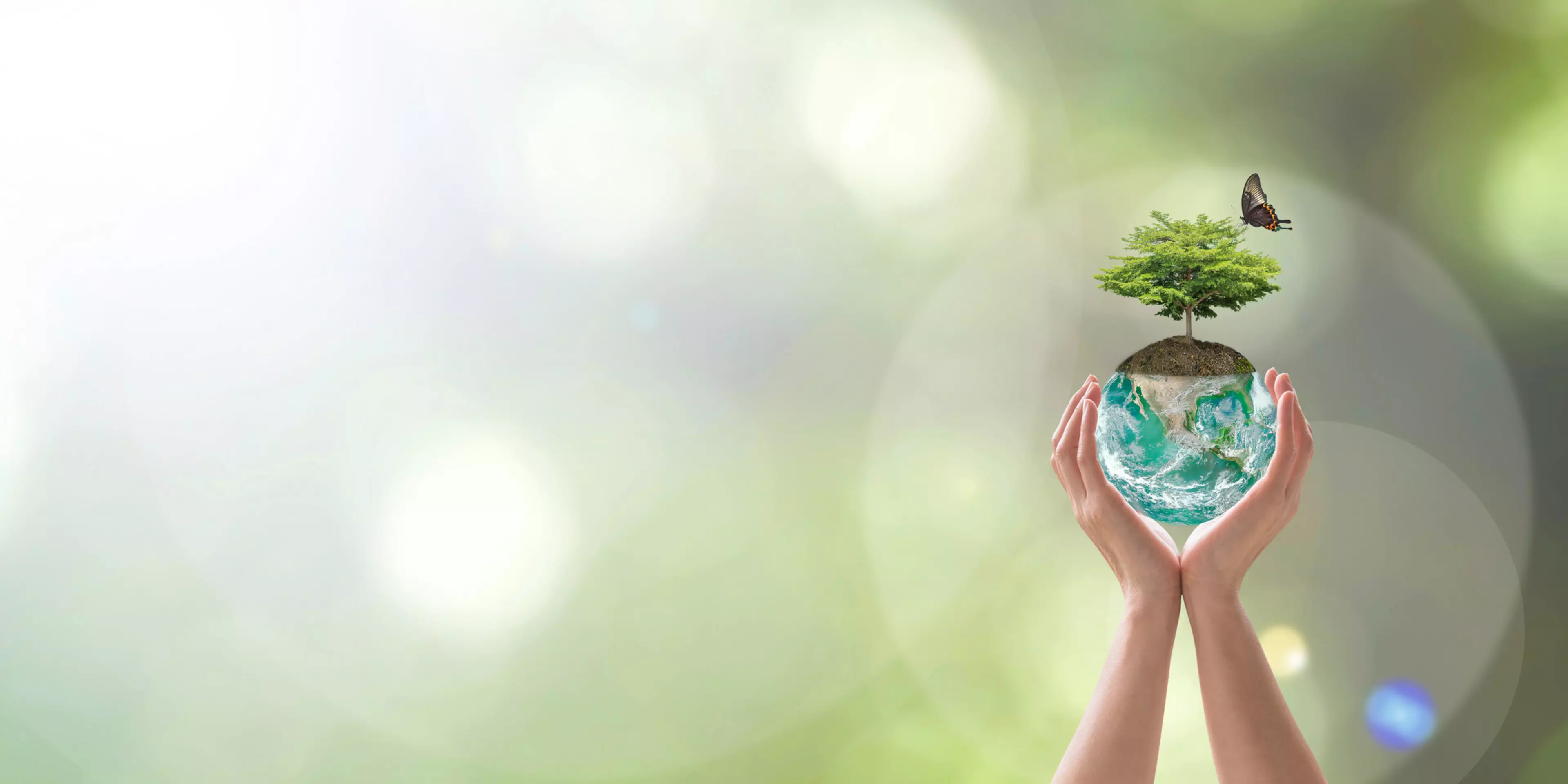 Konica Minolta compensou mais de <br /> 30 000 toneladas de emissões de CO2 <br /> em 5 anos