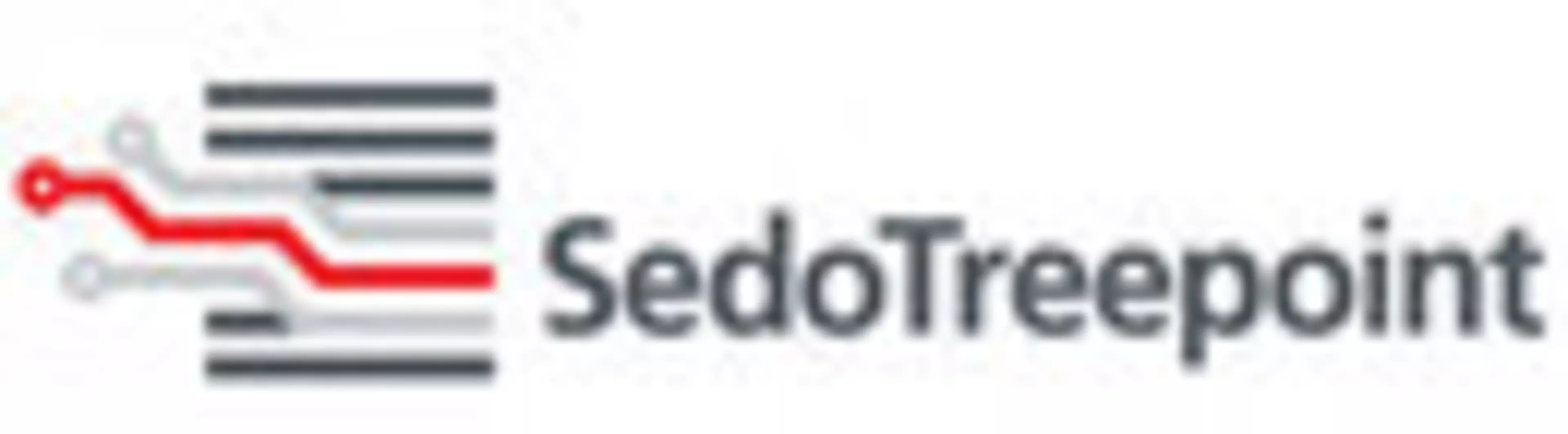 Sedo TreepointHeroSlider