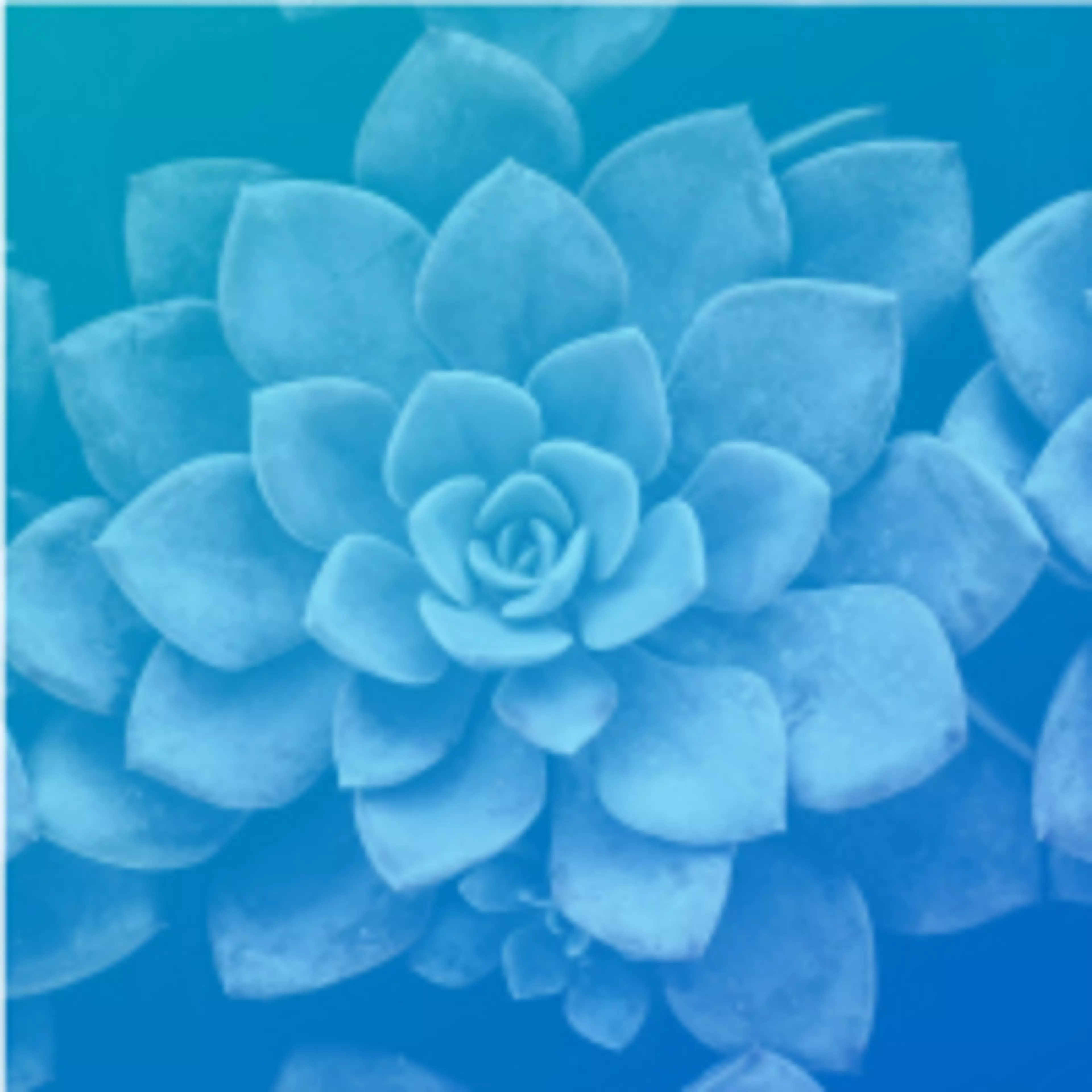 Mehr NachhaltigkeitHeroSlider