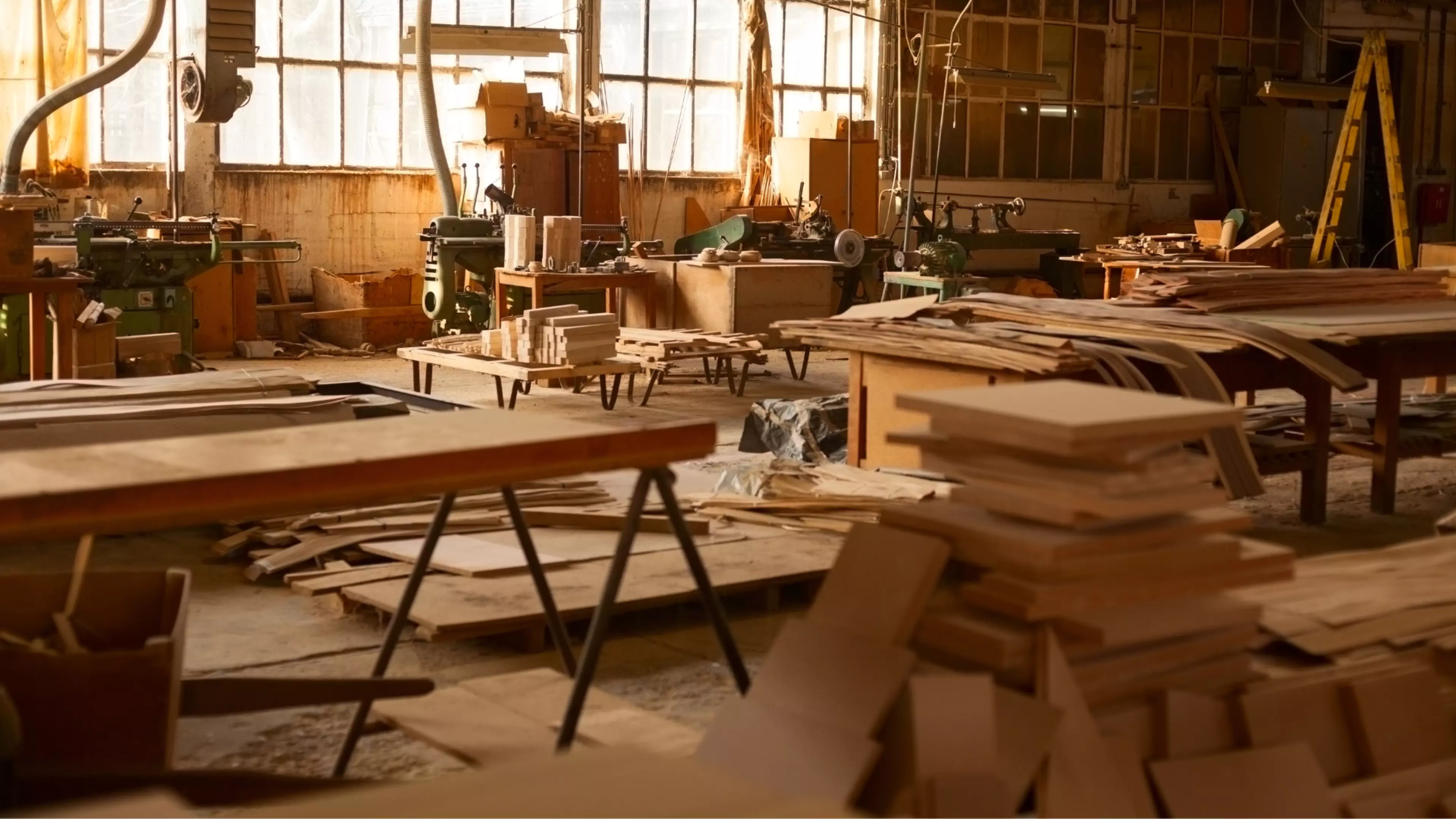 Cobospecim no bg - 1