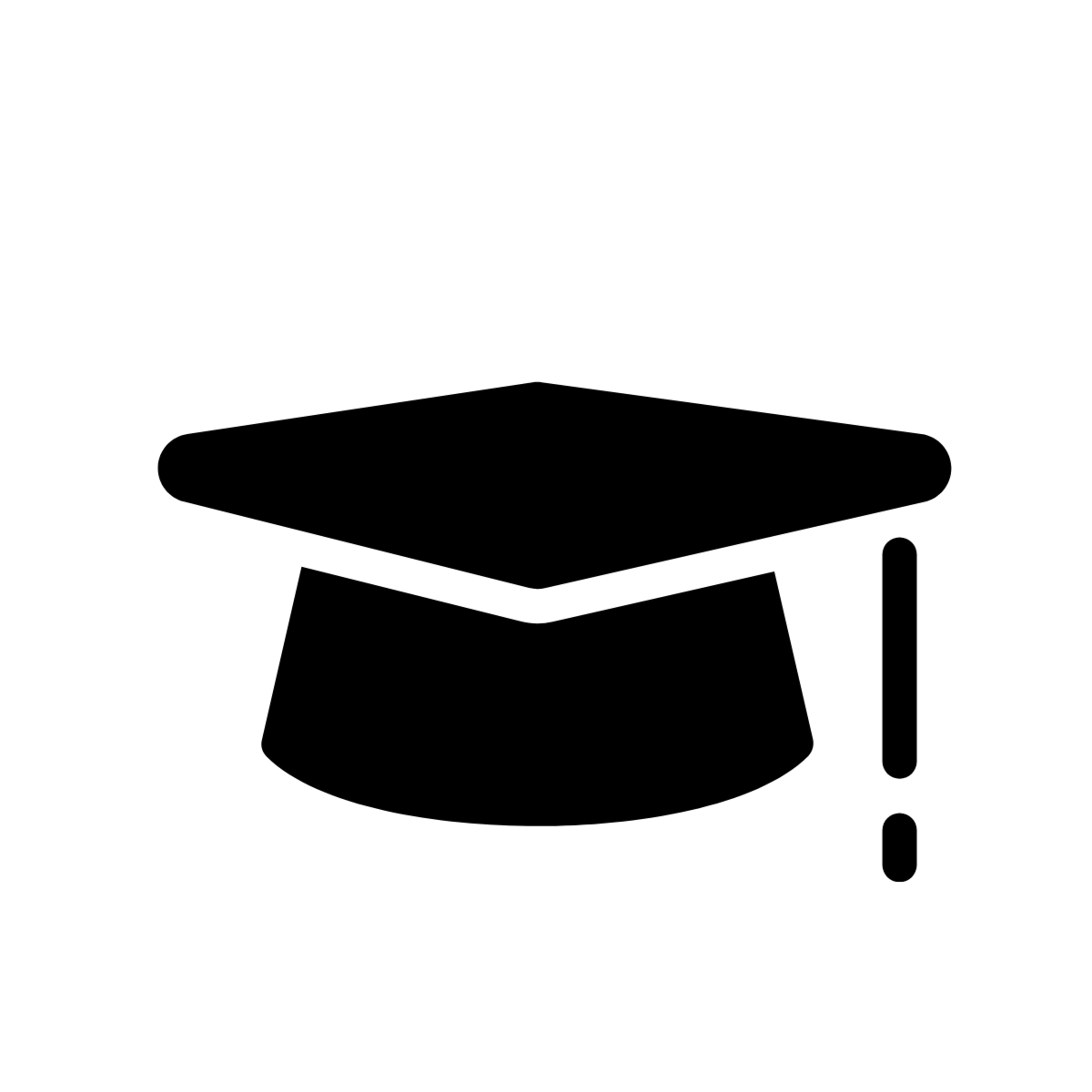 icon sprachkenntnisse