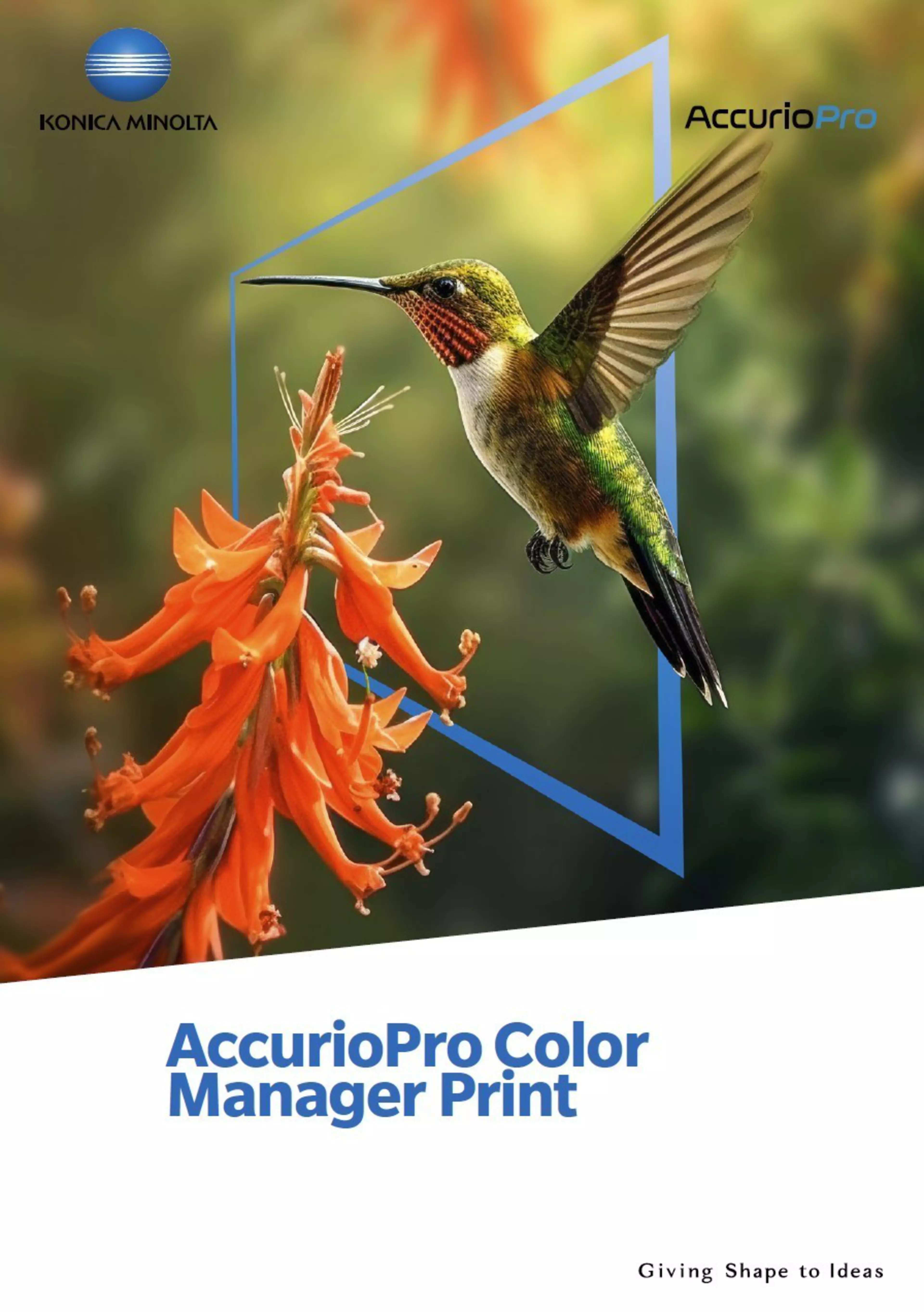 AccurioPro Color Manager bros