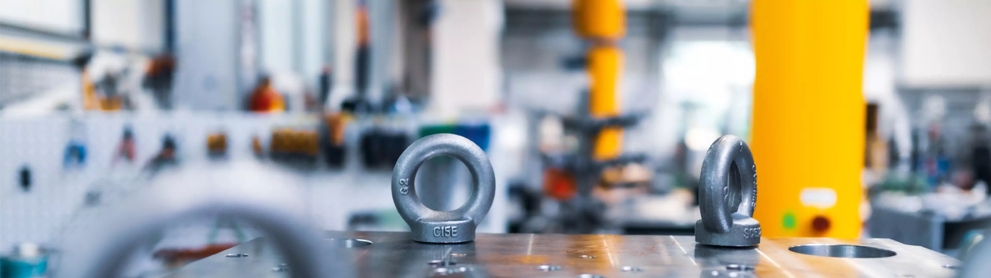 Infor LN ERPHeroSlider