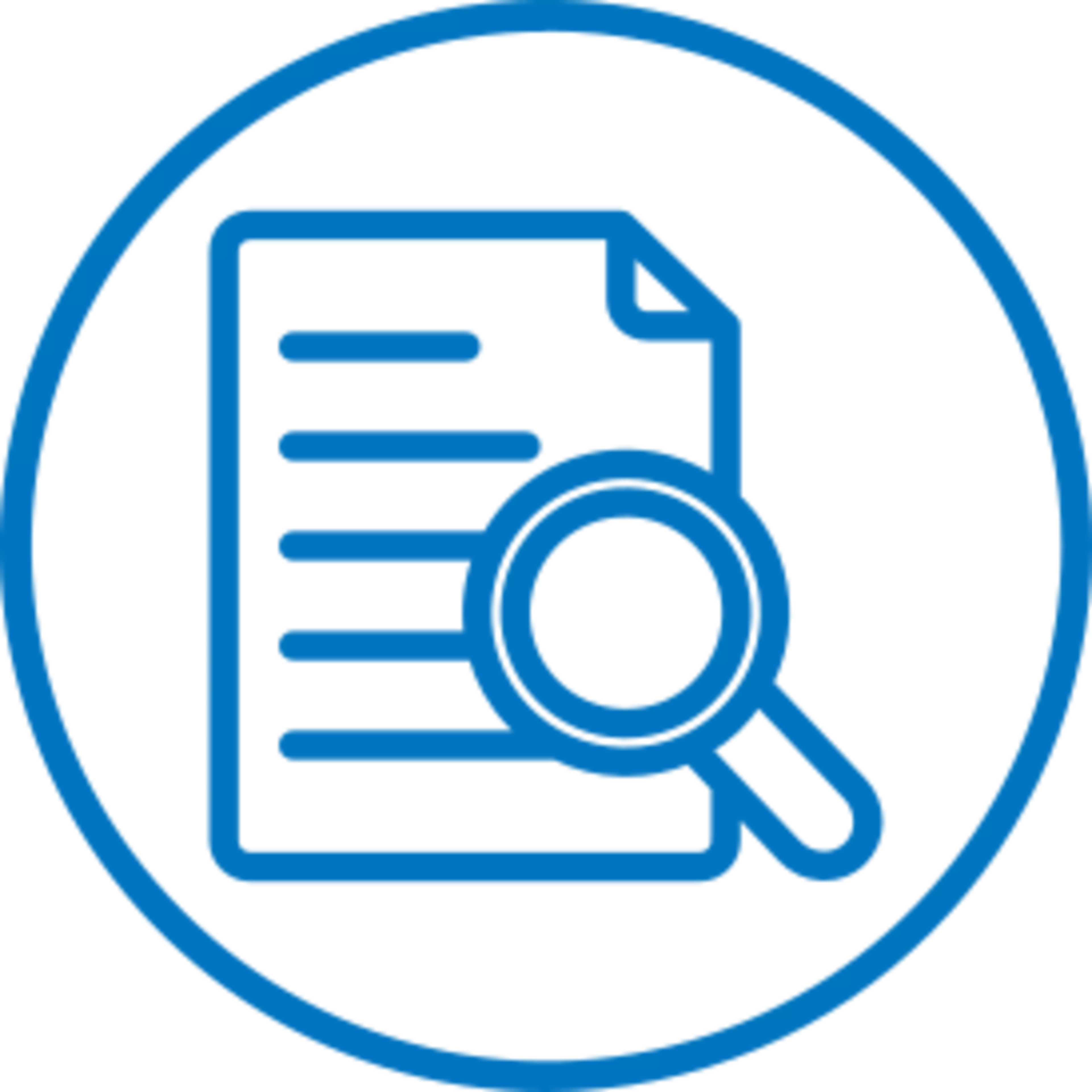 Icono: Documento y lupa