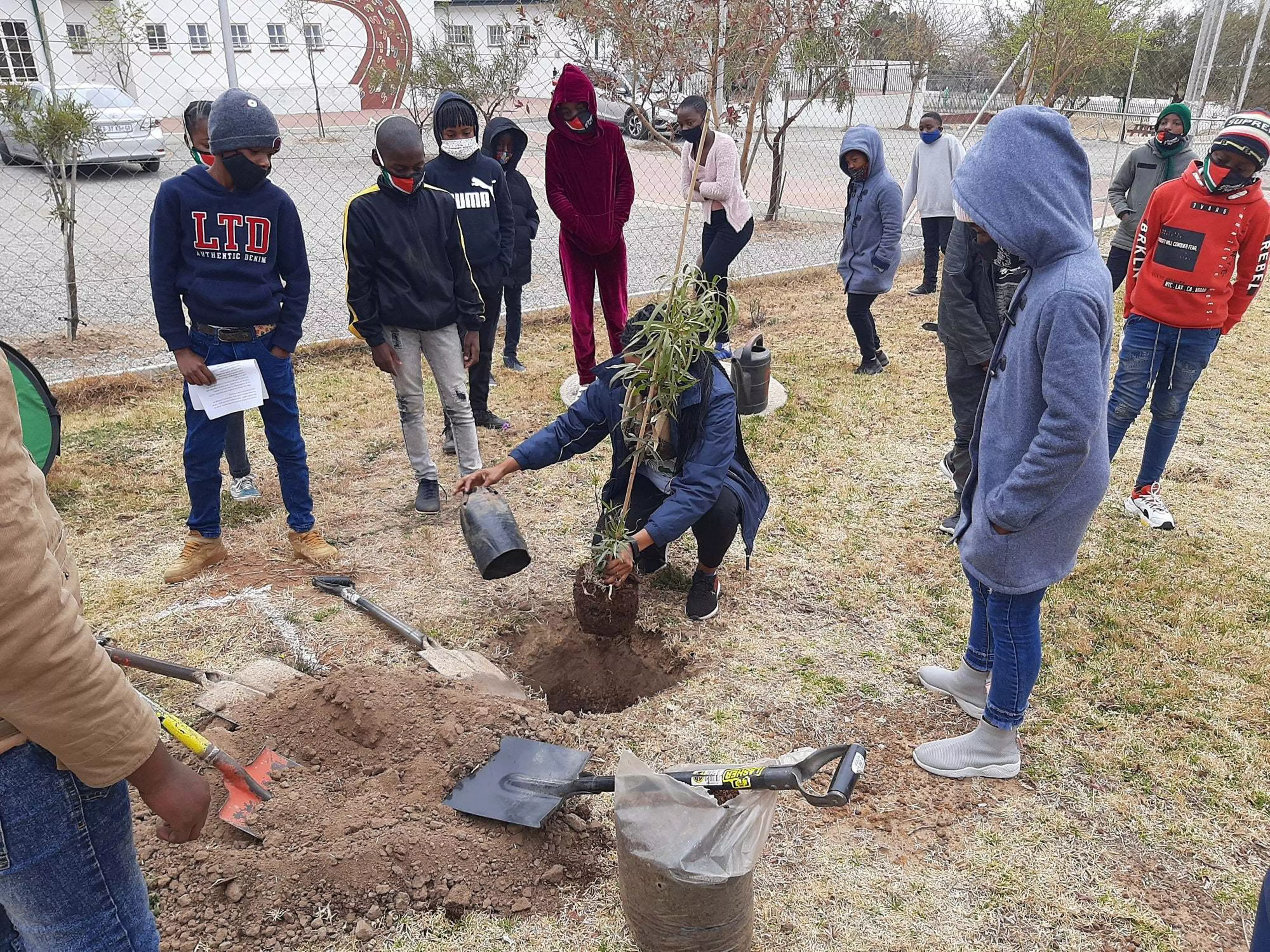 NOKHUPILE tree plant arbor day Sep 2020