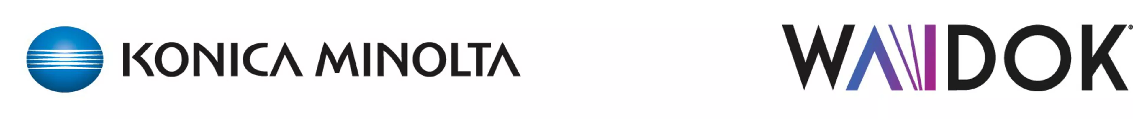 Webinar_Waidok - AICA