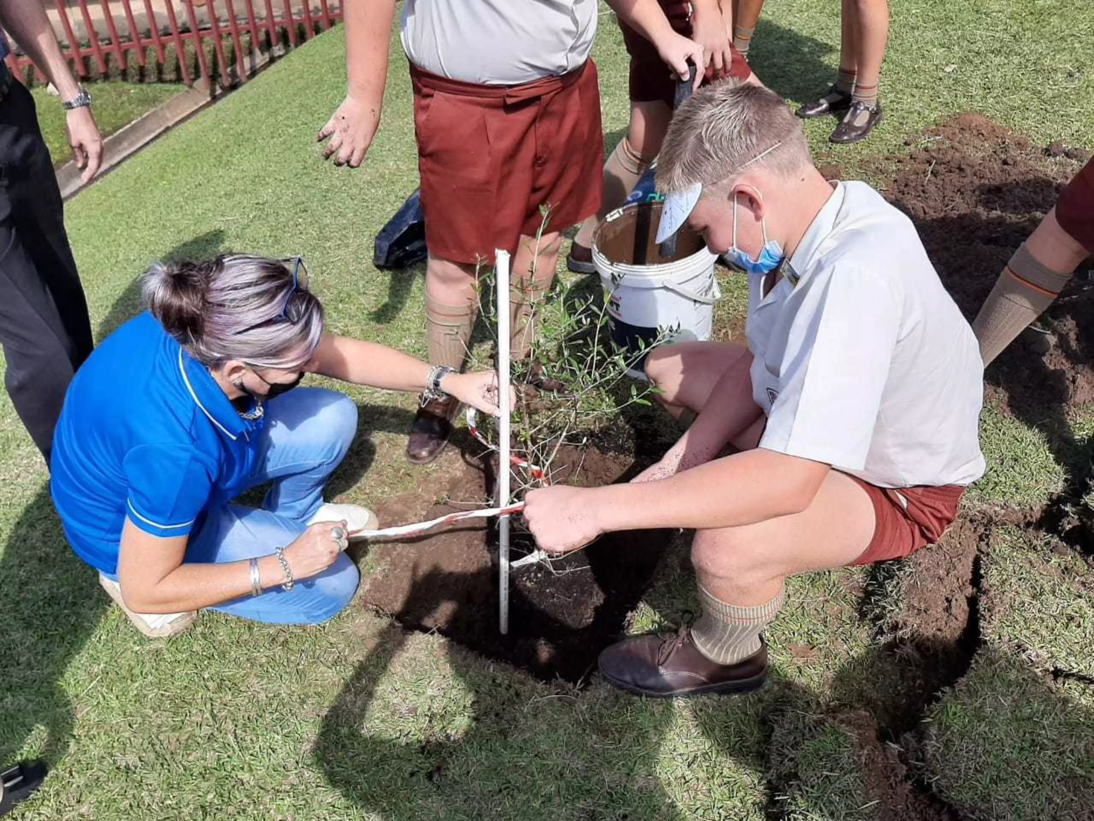 Newcastle turns over a new leafImgCarousel1