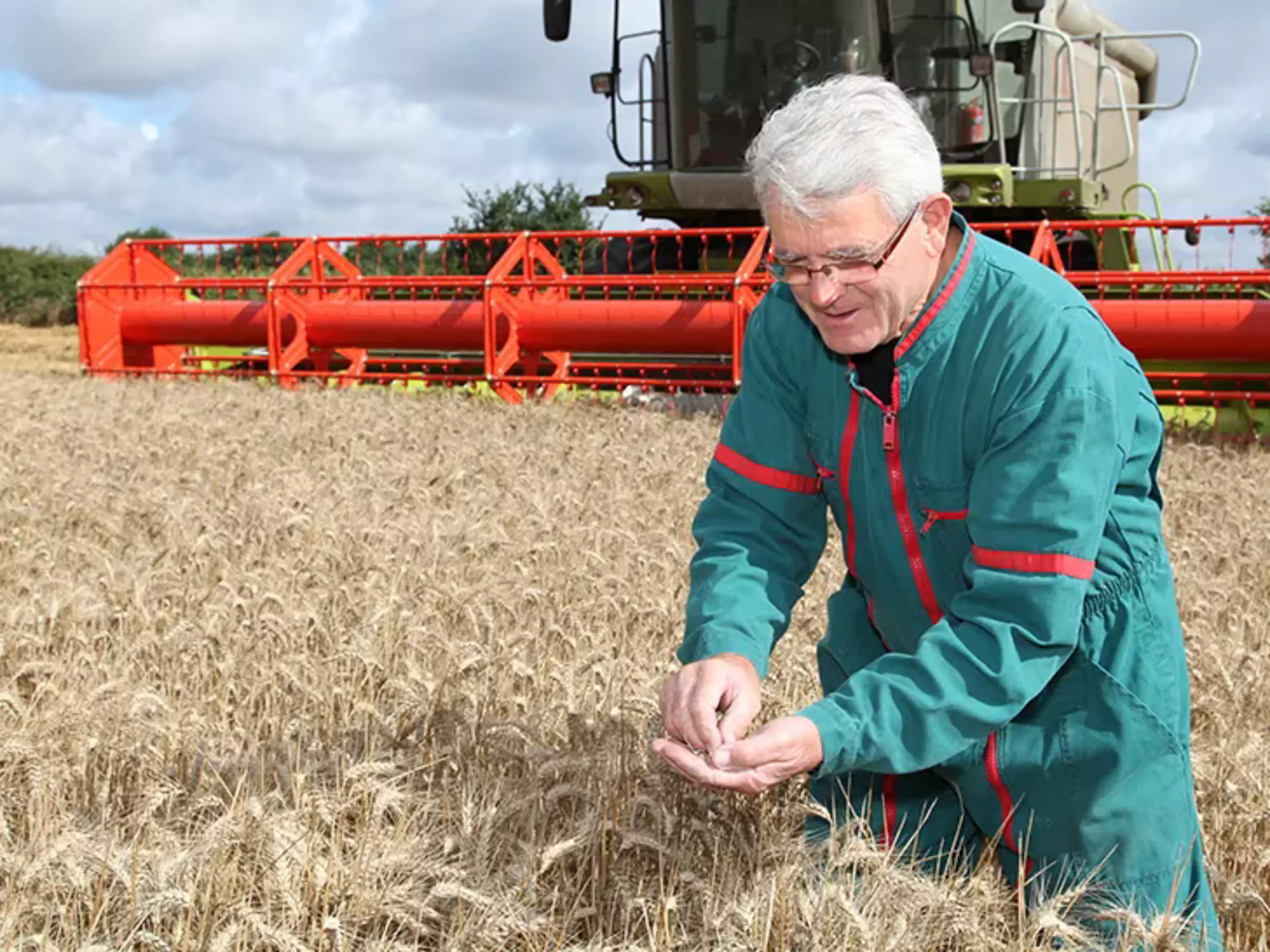 Quality Reports of Harvested Crops