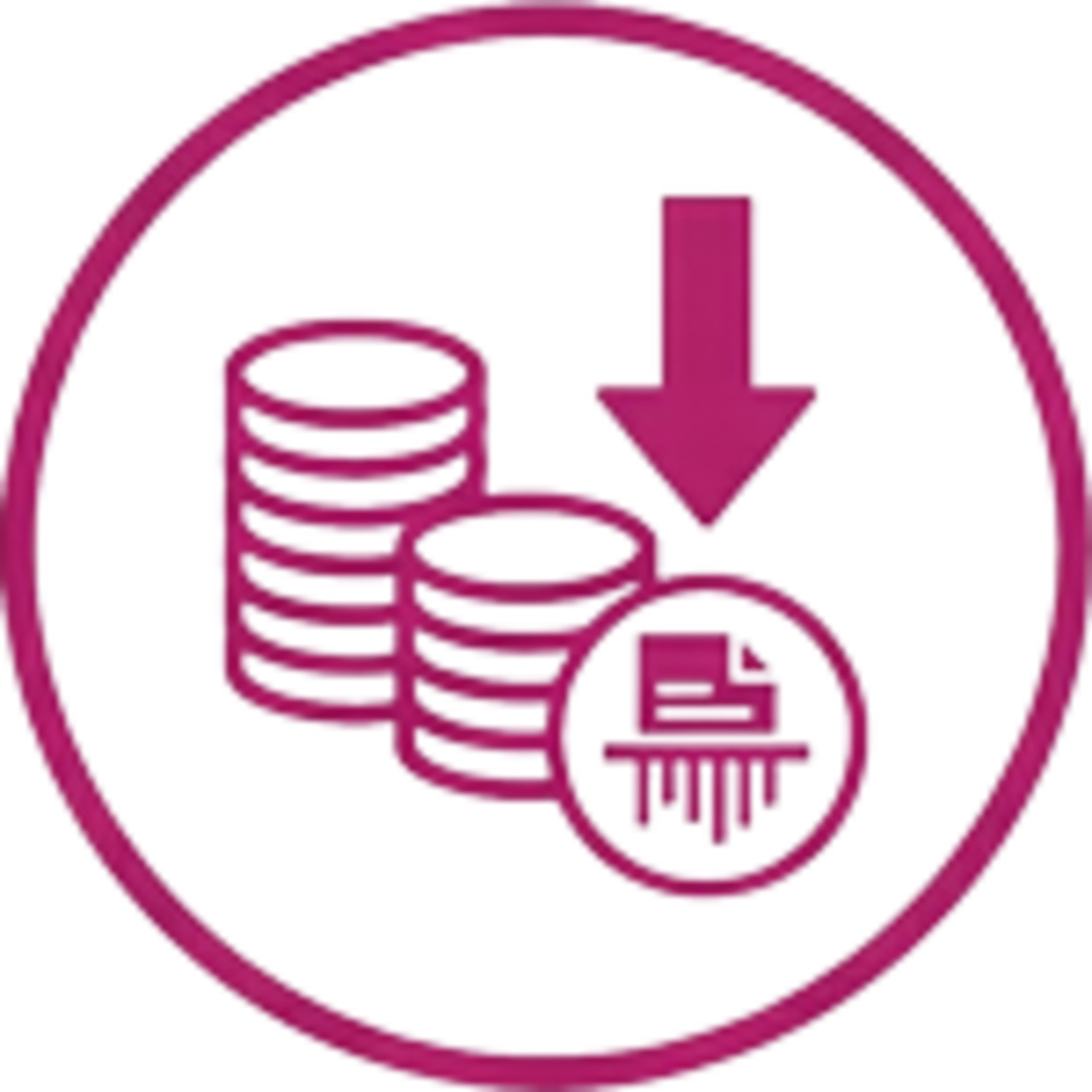 Waidok Icon 5