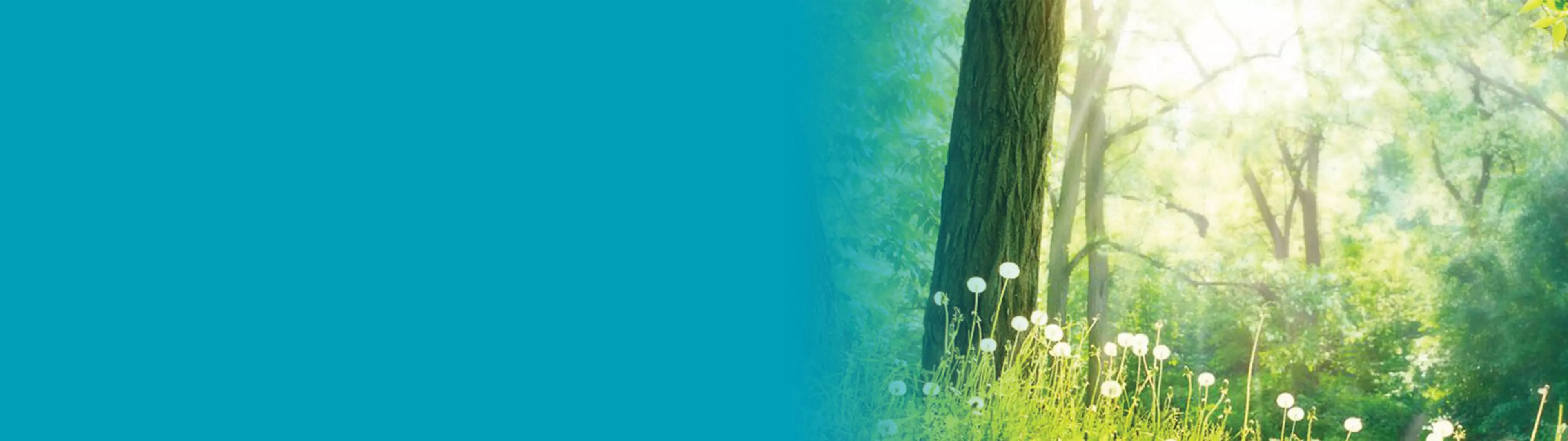 Eine neue Dimension des professionellen Schwarzweißdrucks