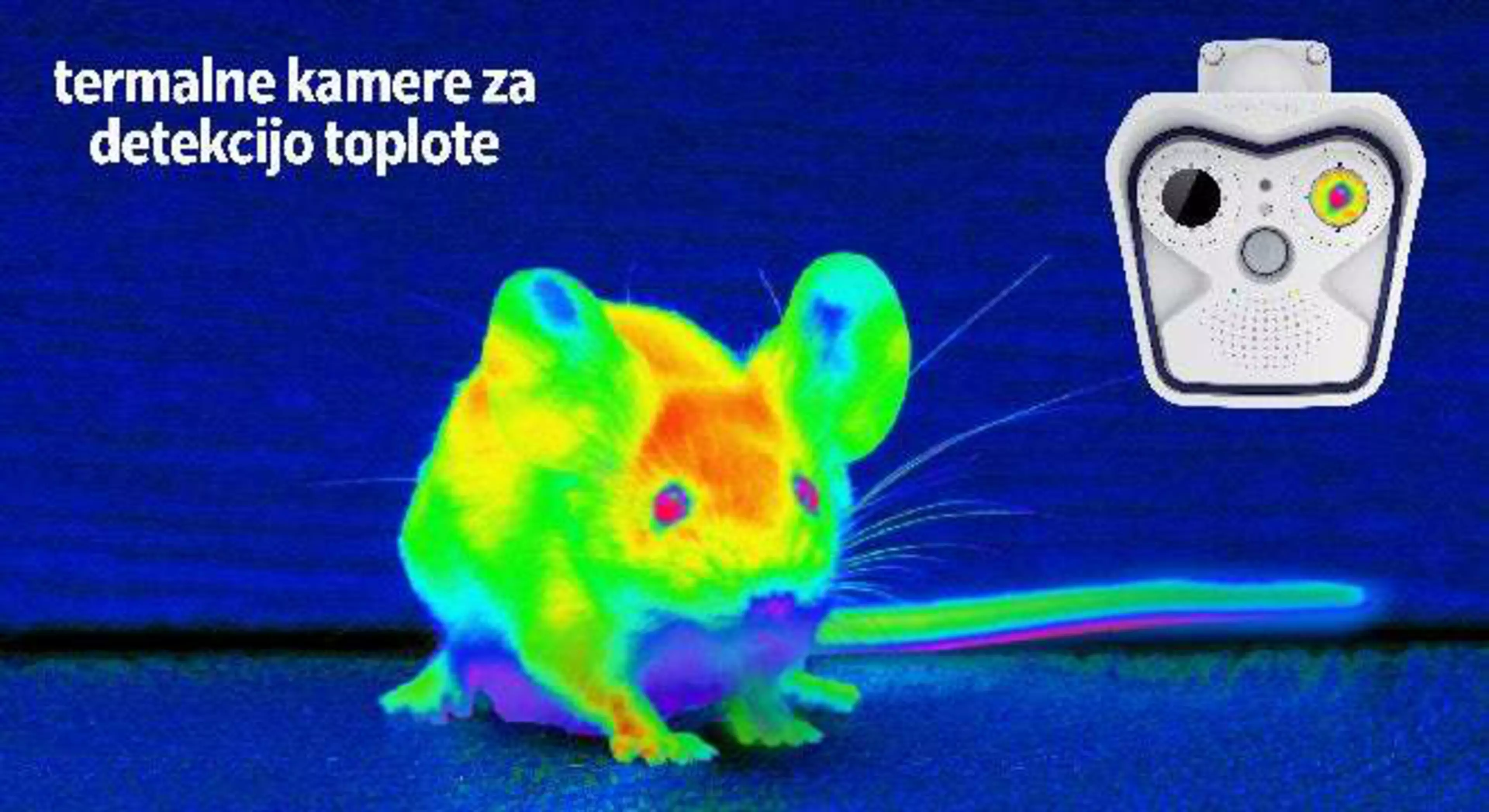 MOBOTIX TERMALNE KAMERE