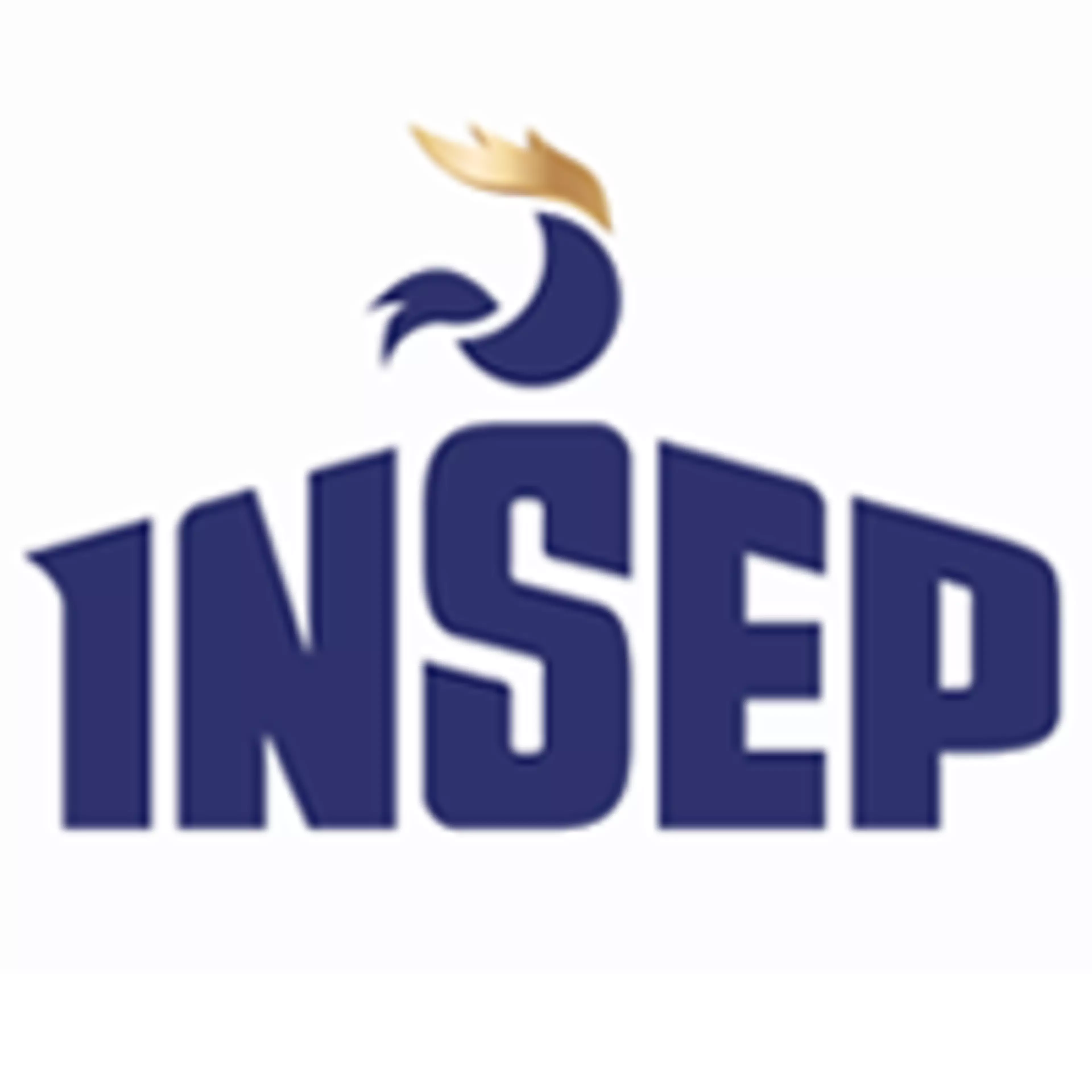 INSEPHeroSlider