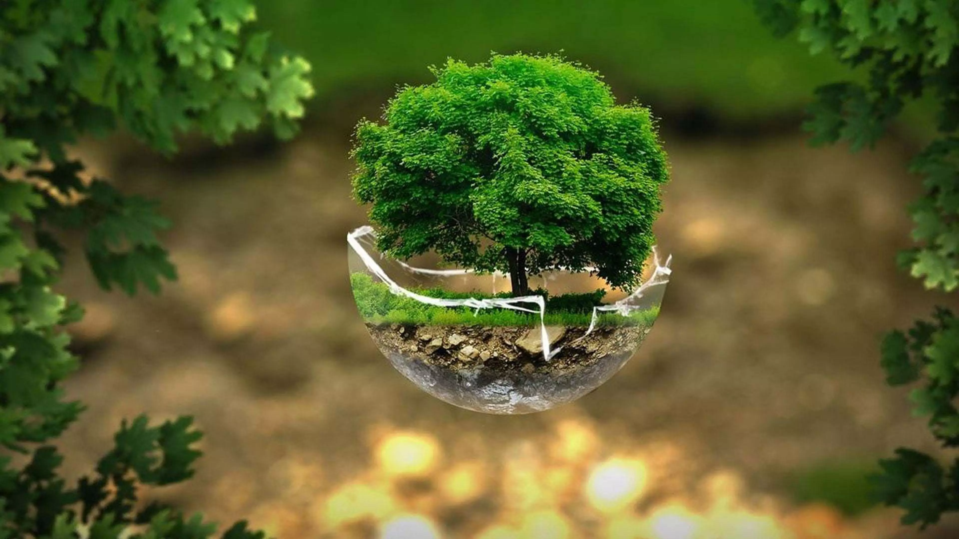 Konica Minolta South Africa nurtures environmentally conscious SME