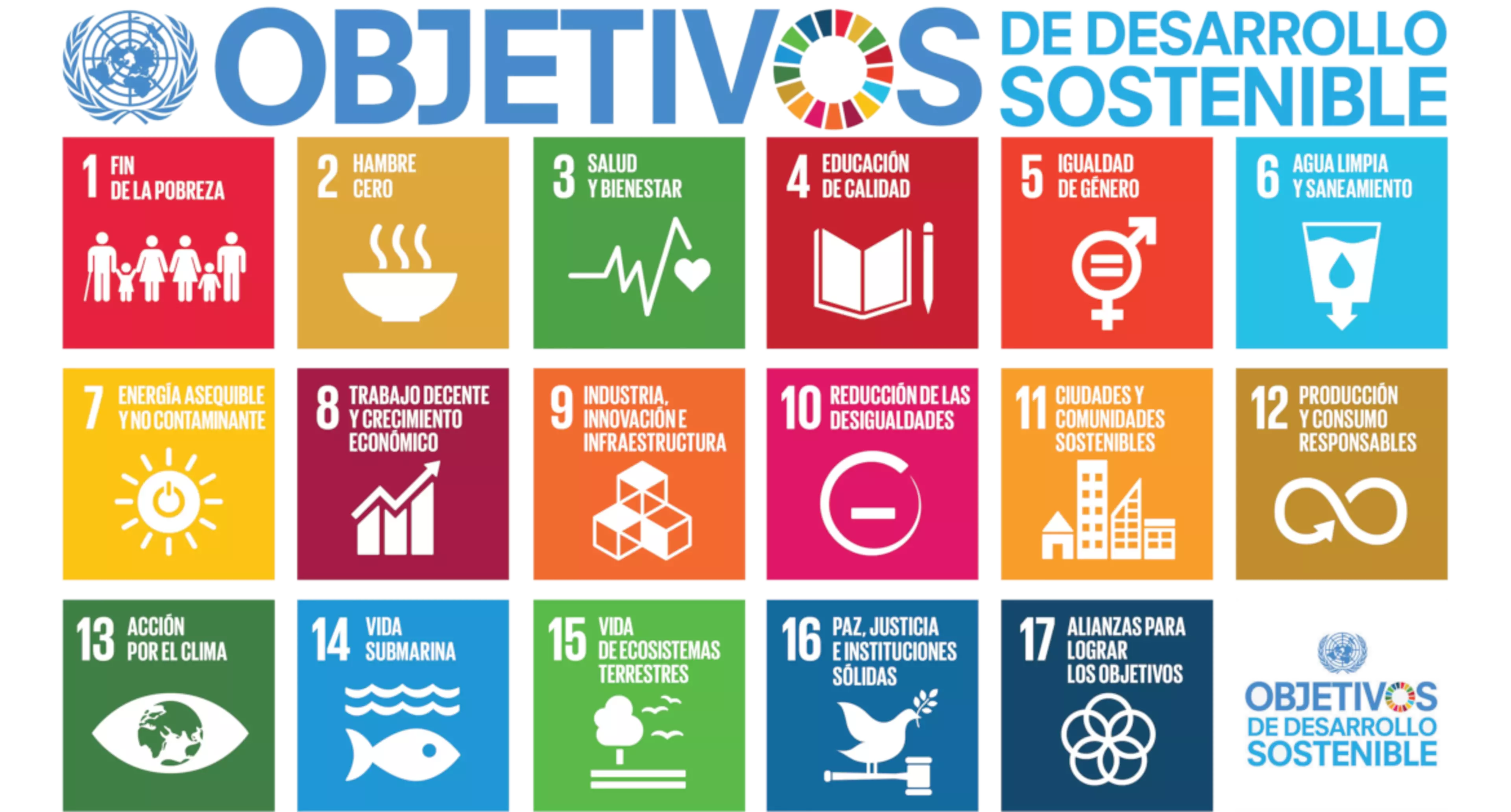 Objetivos de Desarrollo Sostenible (ODS)