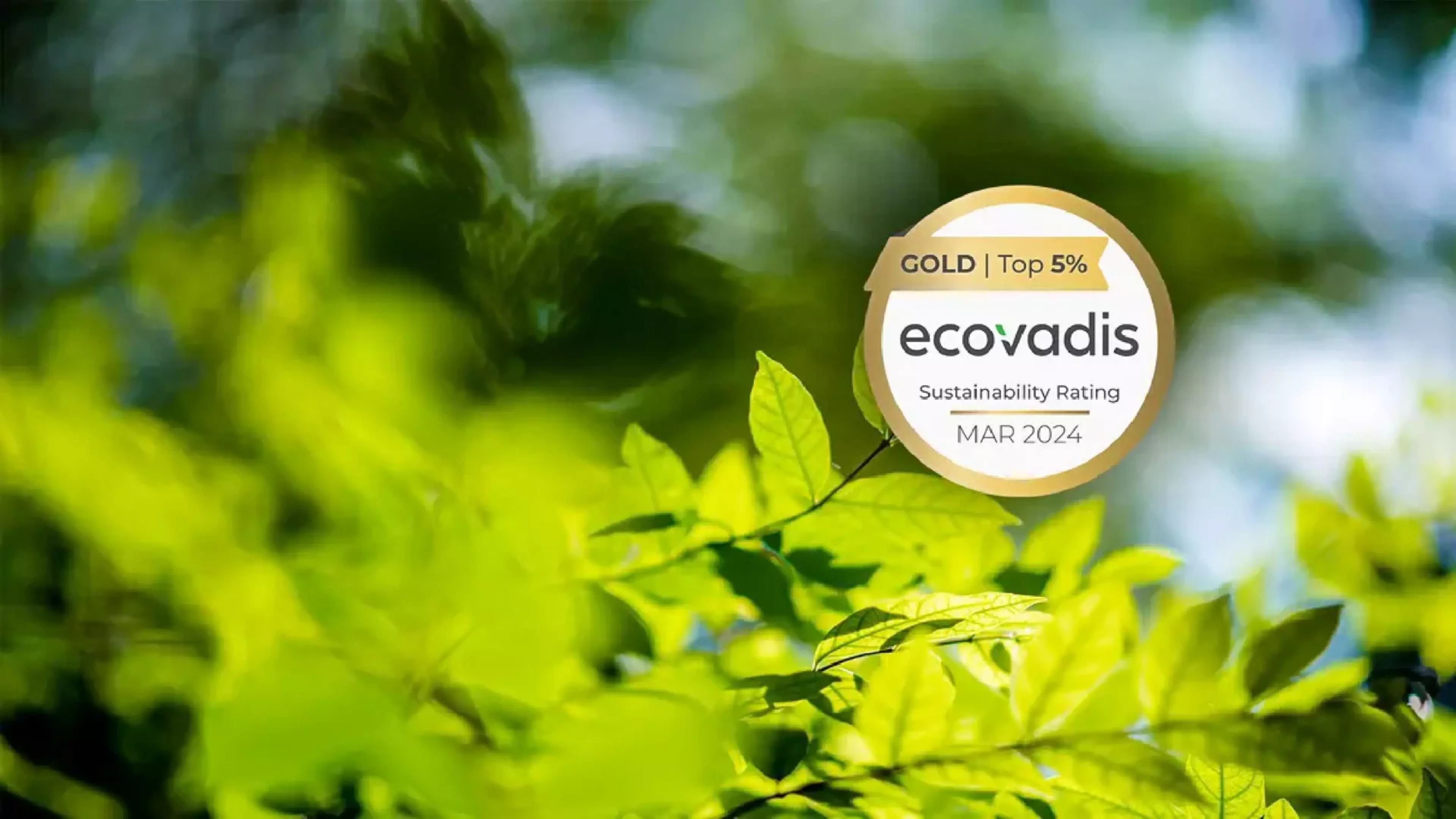 Logo ecovadis Gold sobre un fondo de hojas verdes