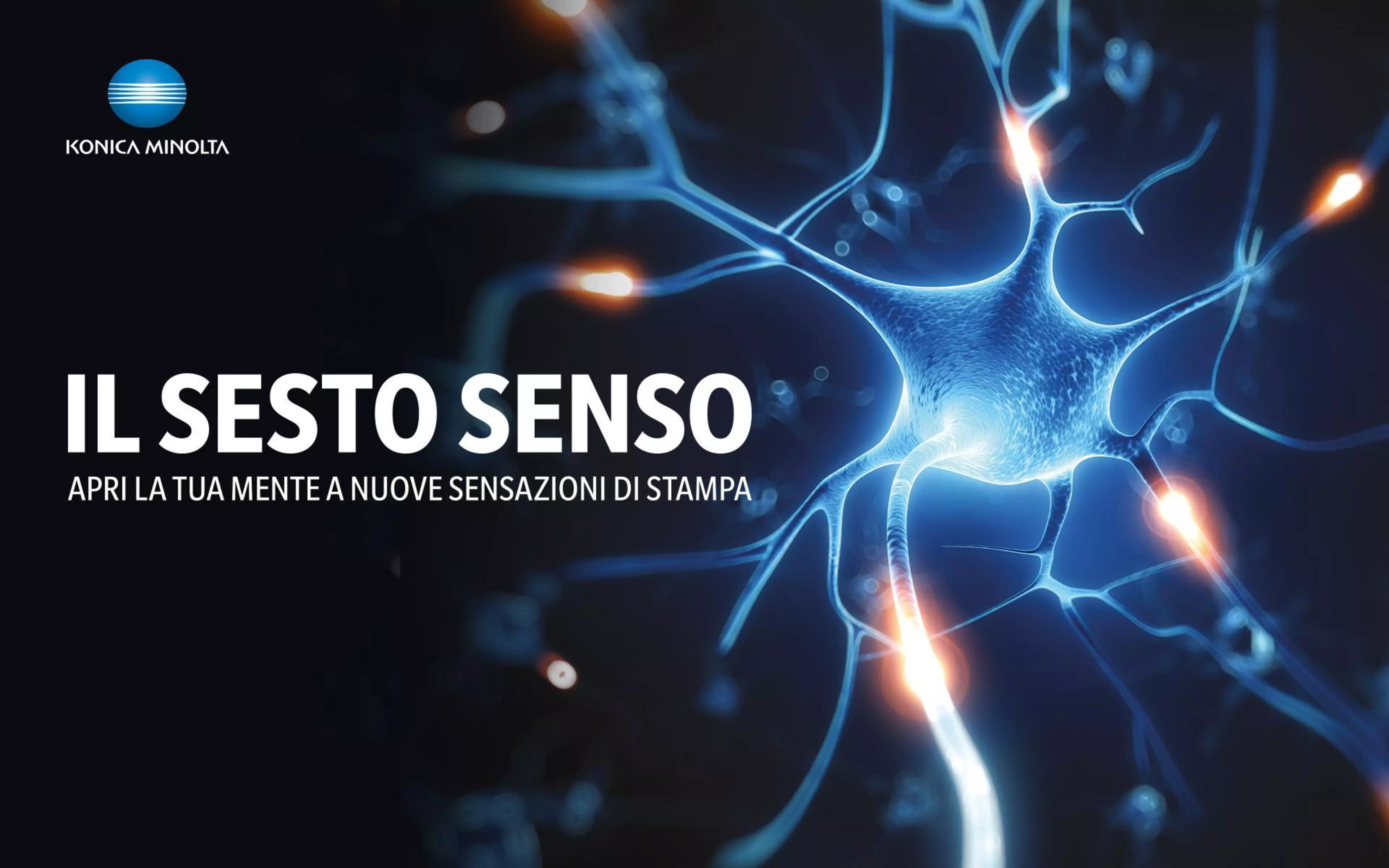 Sesto Senso news header