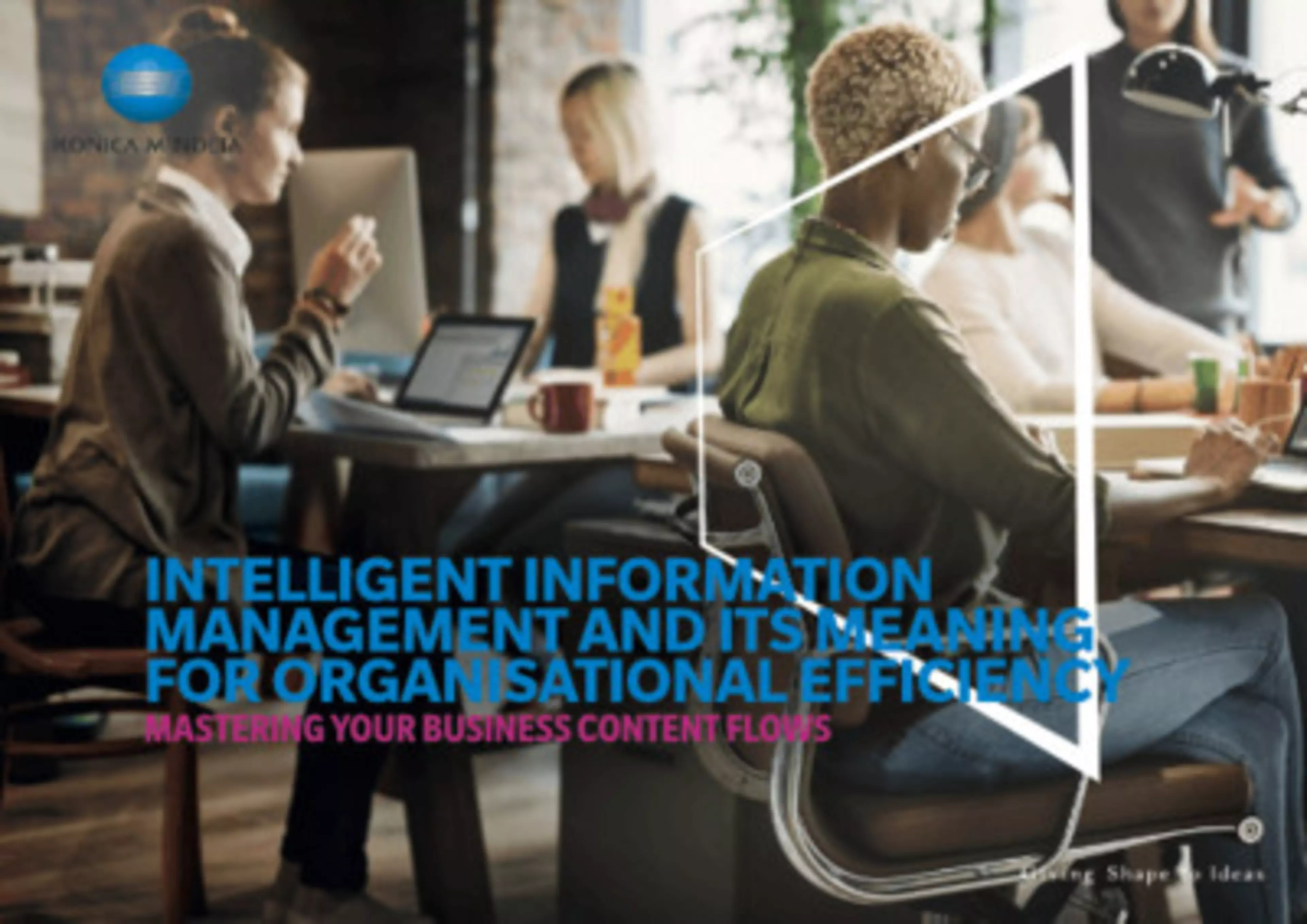 image Intelligent information management and its meaning for organisational efficiency