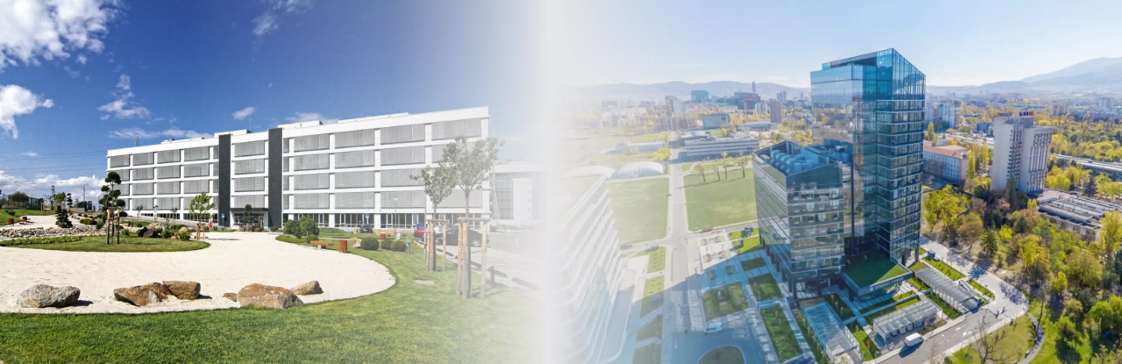website header - 2