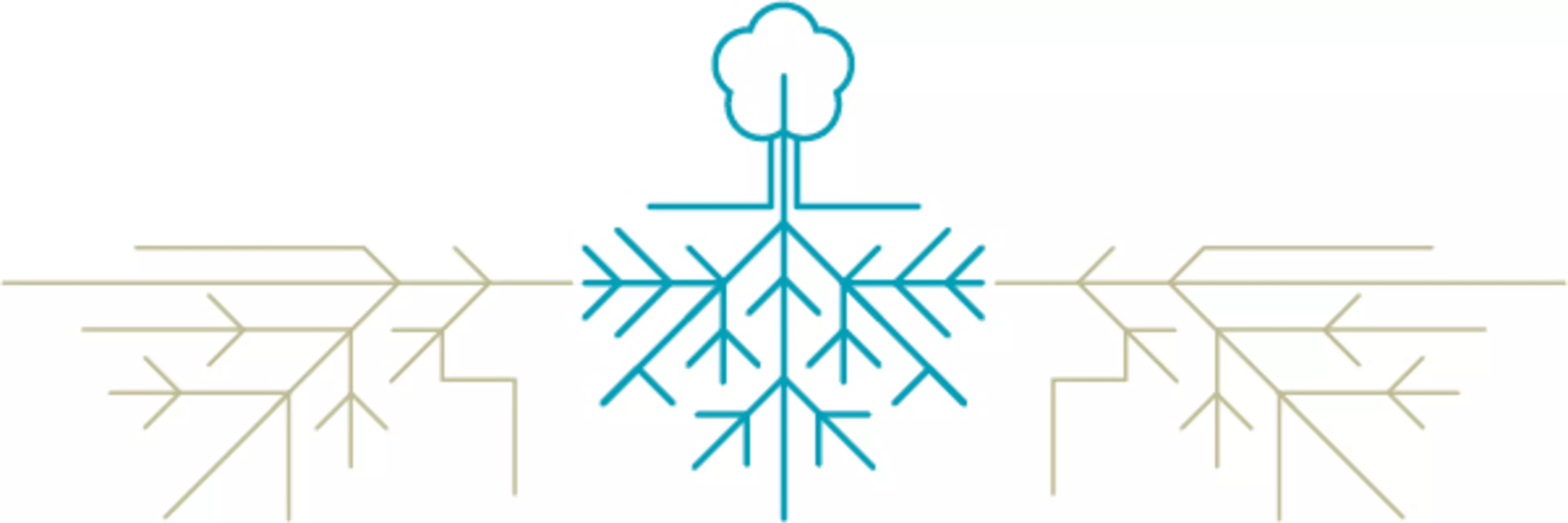 Wurzeln – das DokumentenmanagementHeroSlider