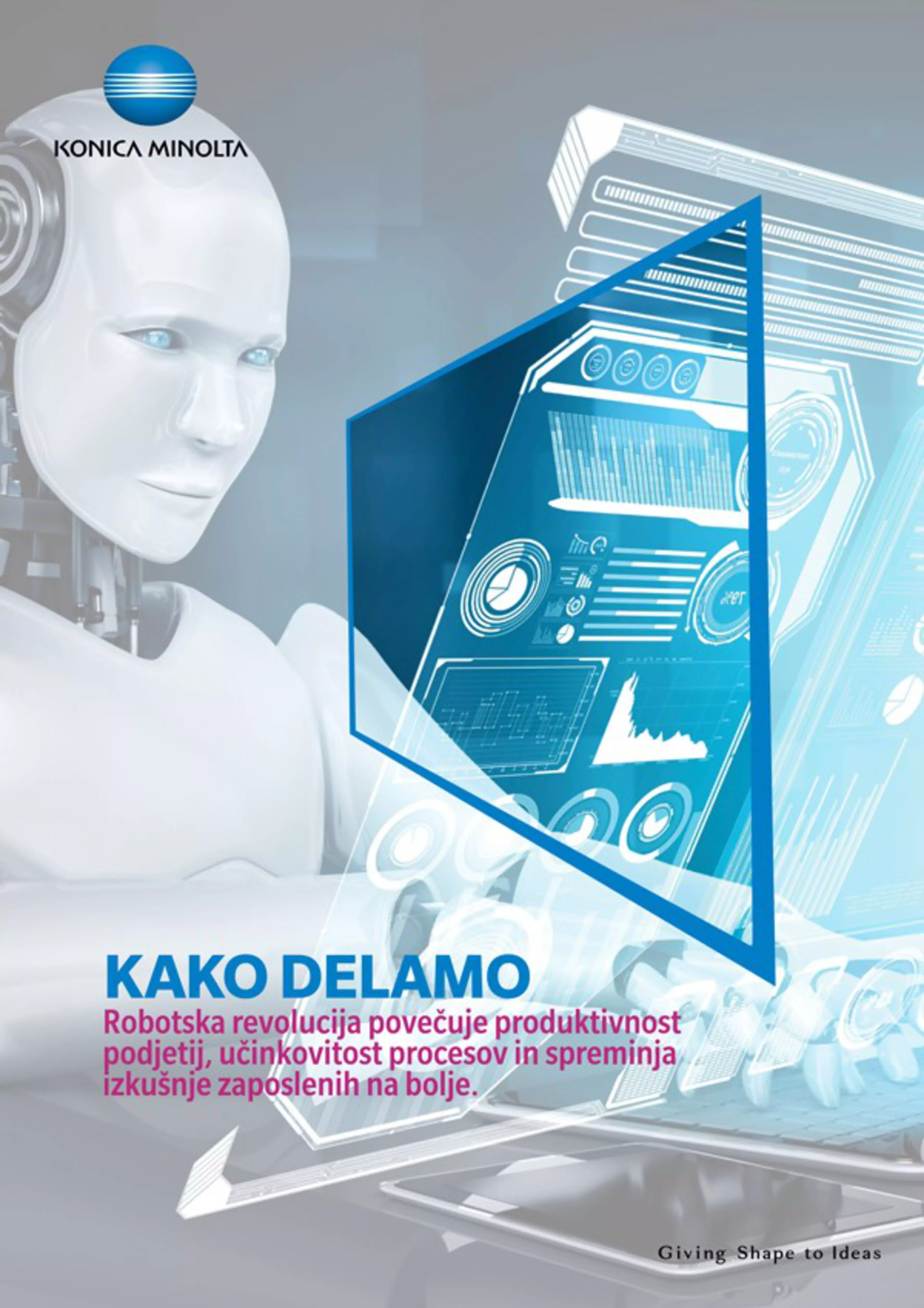 BELA KNJIGA O RPA