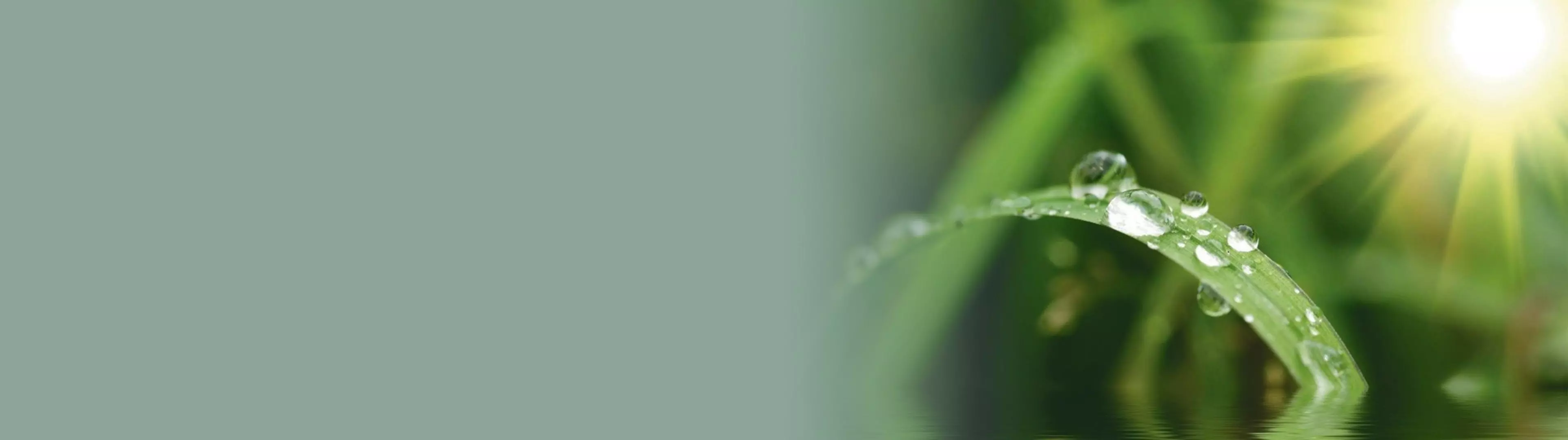 Konica Minolta considerada uma das 100 empresas mais sustentáveis do mundo