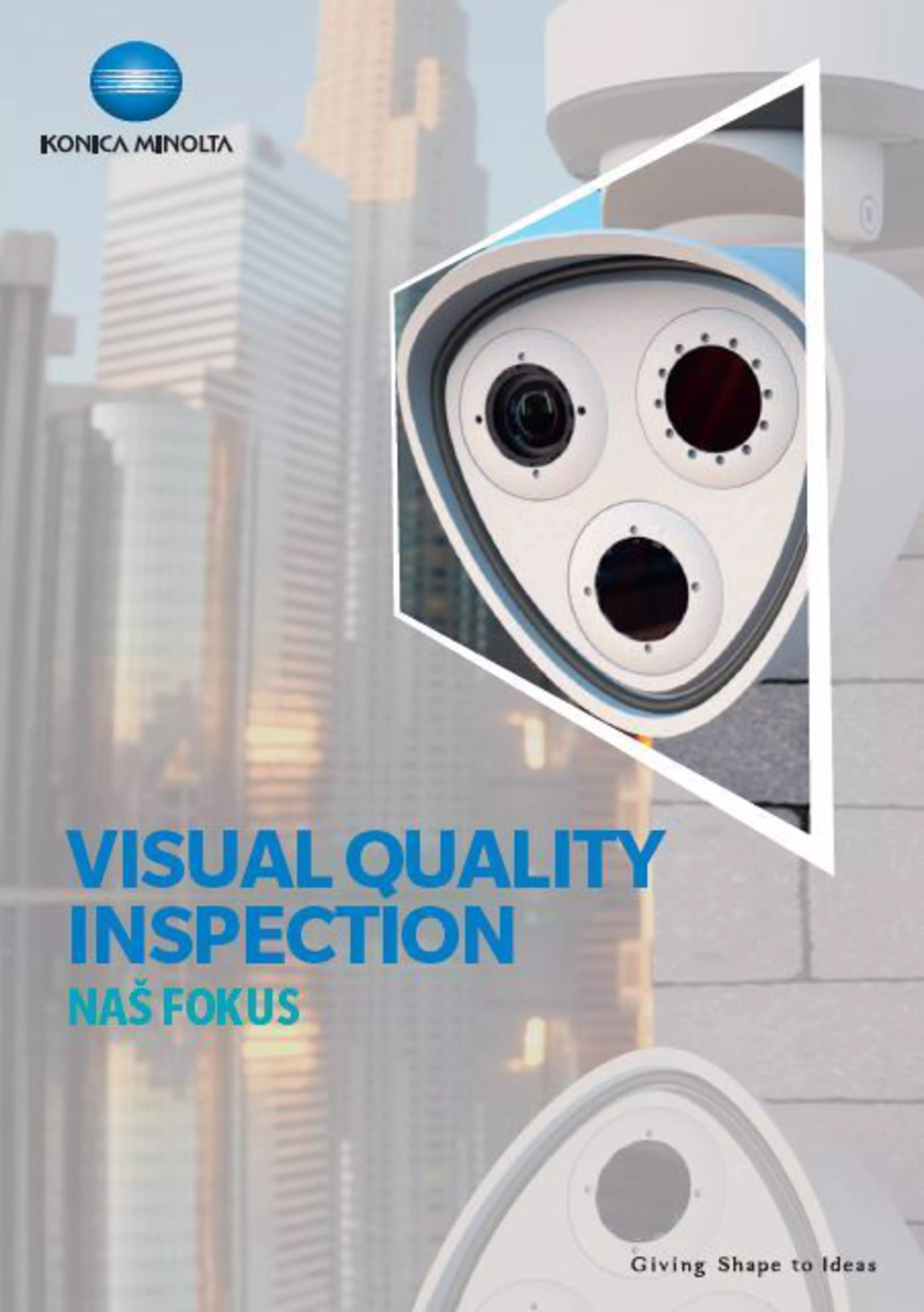 VISUAL QUALITY INSPECTION