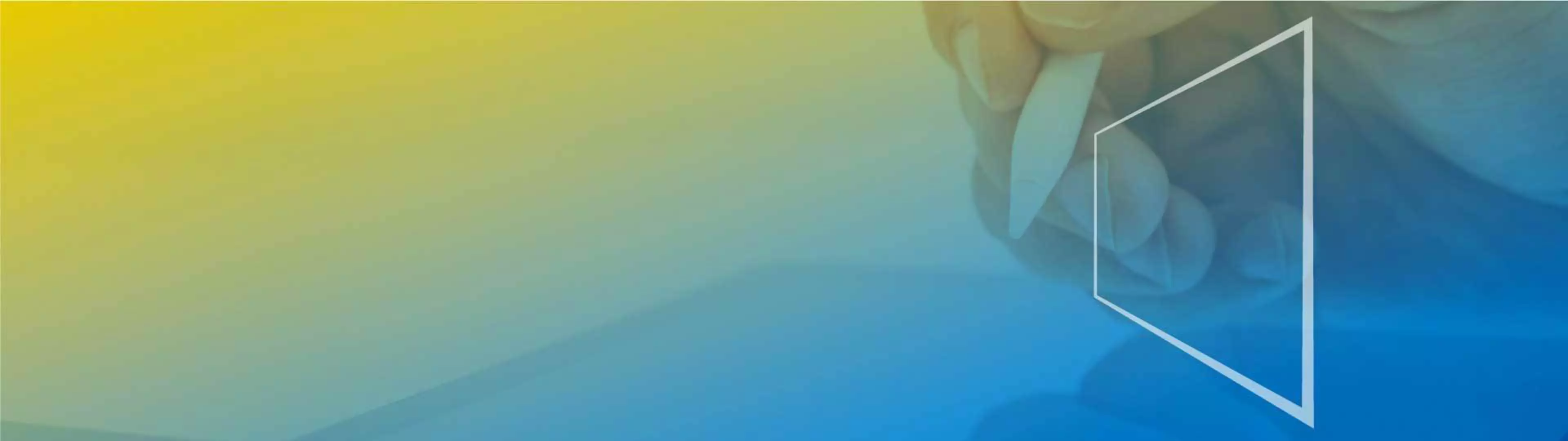 DX VISION: Strategische Digitalisierungsberatung | KONICA MINOLTAHeroSlider