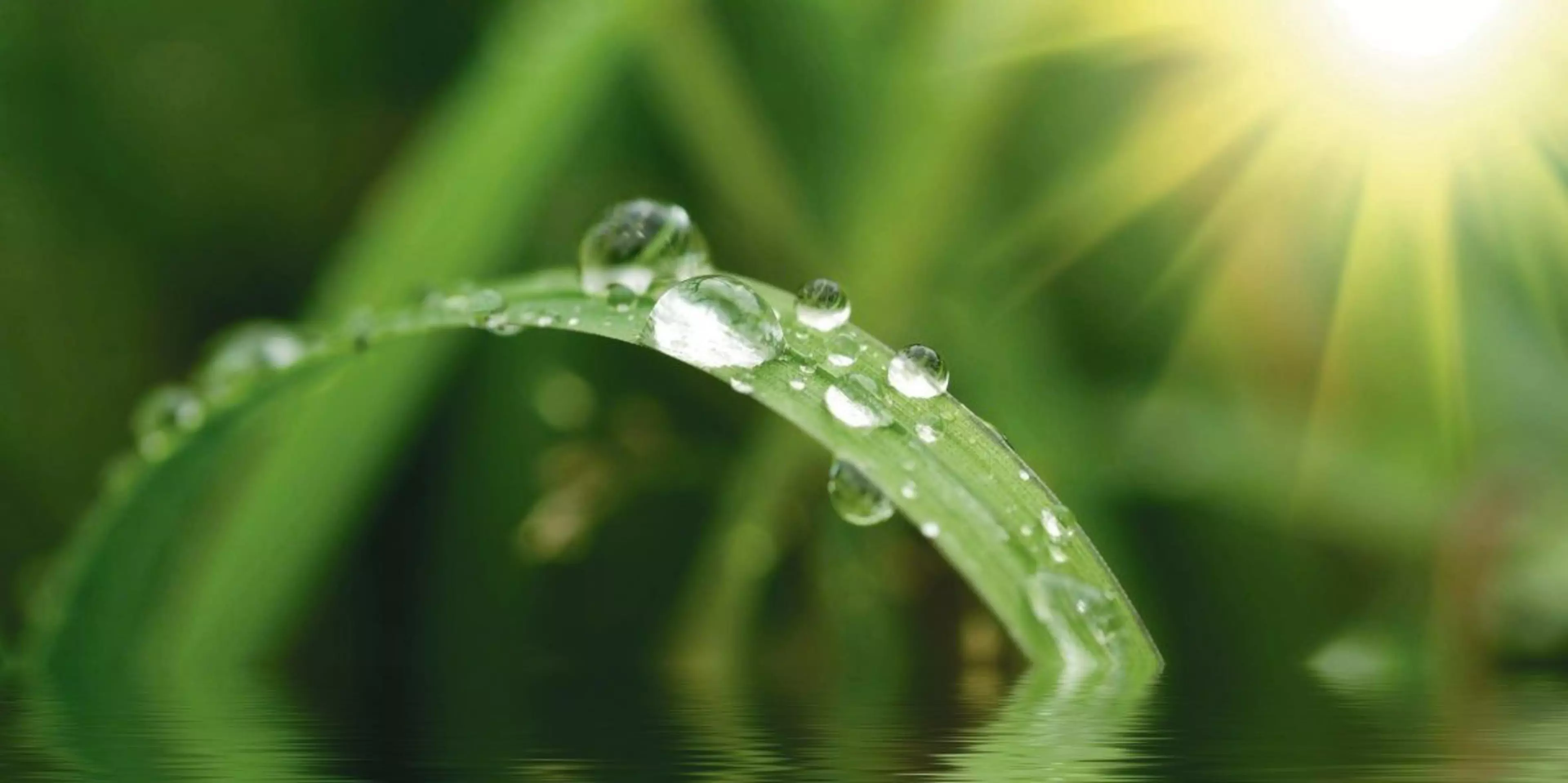 Konica Minolta awarded Silver Class in SAM Sustainability Award