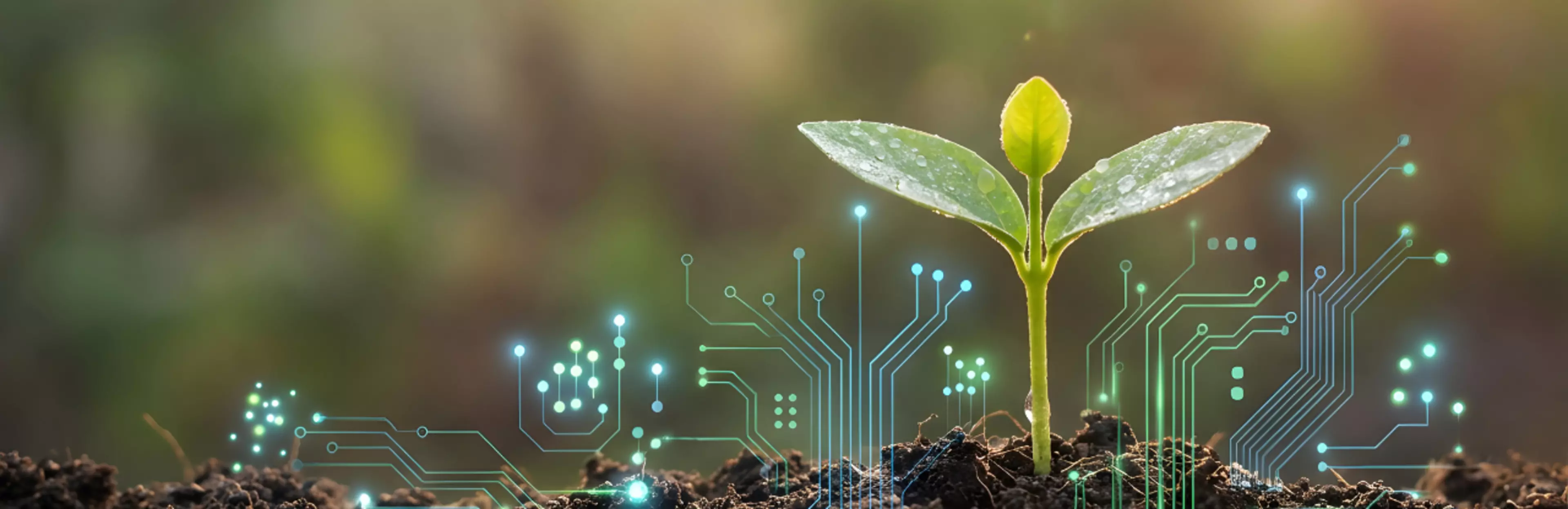 Nouvelle bannière (site corp) 1280x416 - 22