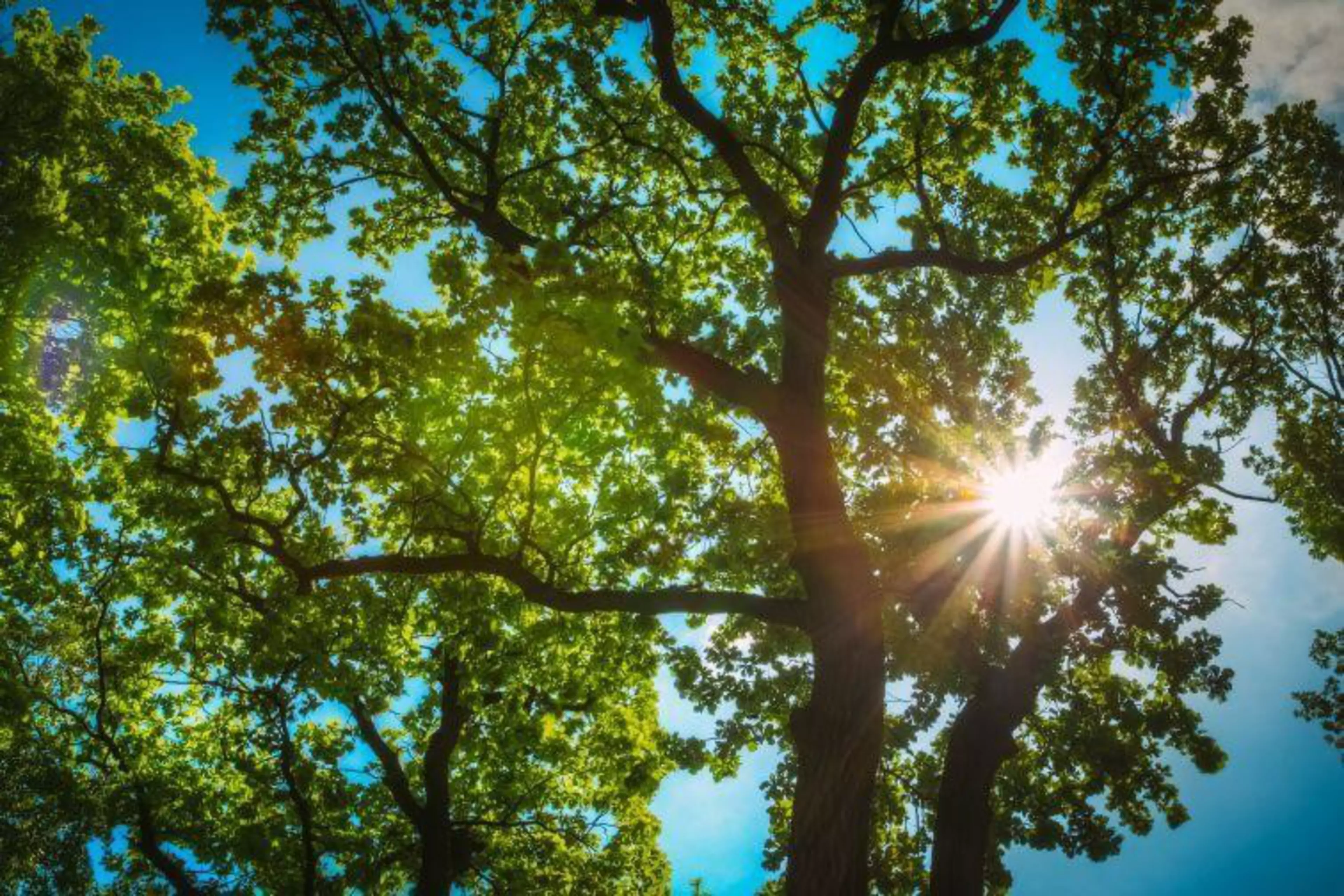 Per la quinta volta, e per il quarto anno consecutivo, Konica Minolta è tra le 100 società globali più sostenibili al mondoImgCarousel1