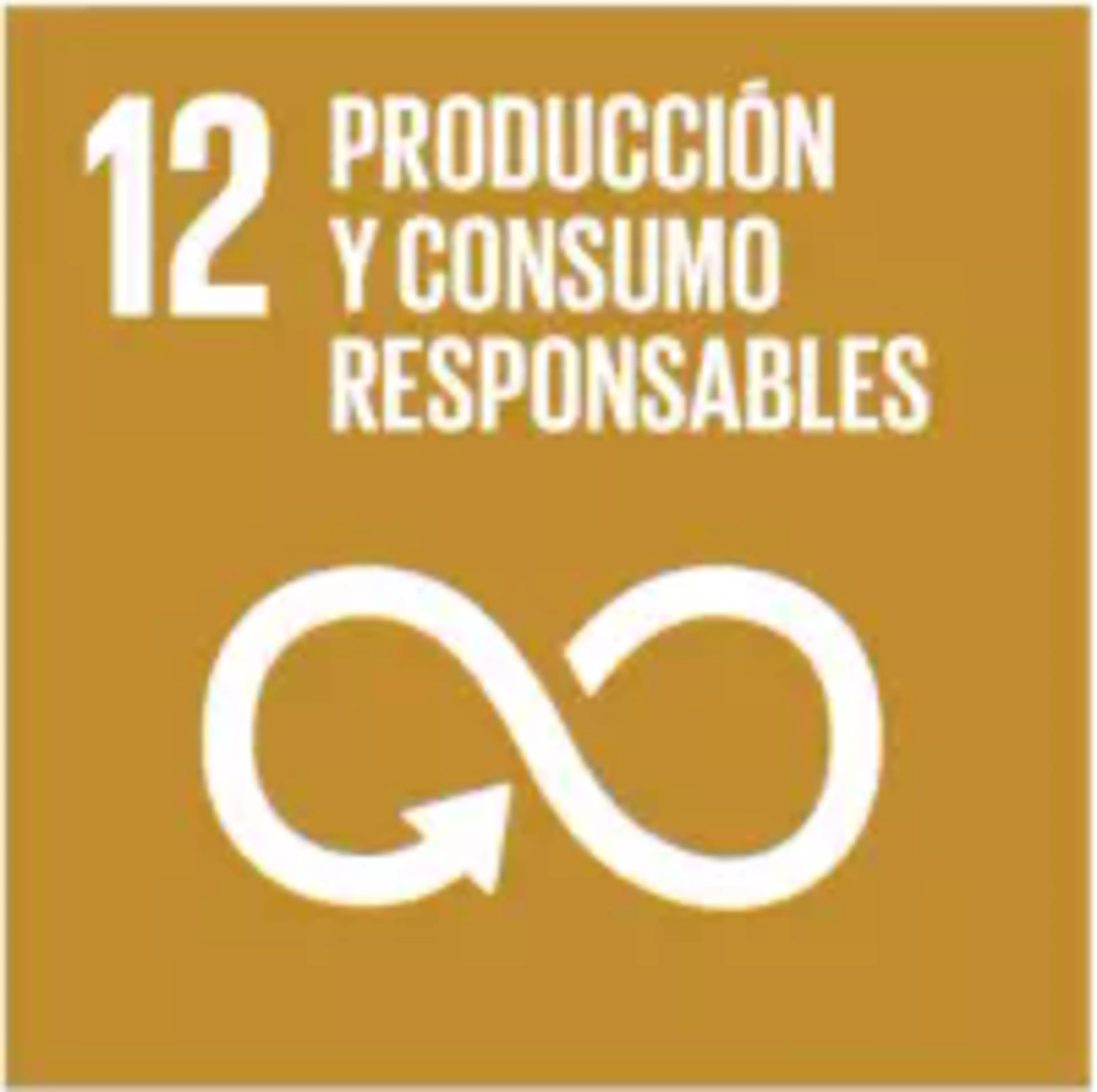 ODS 12 - Producción y consumo responsables