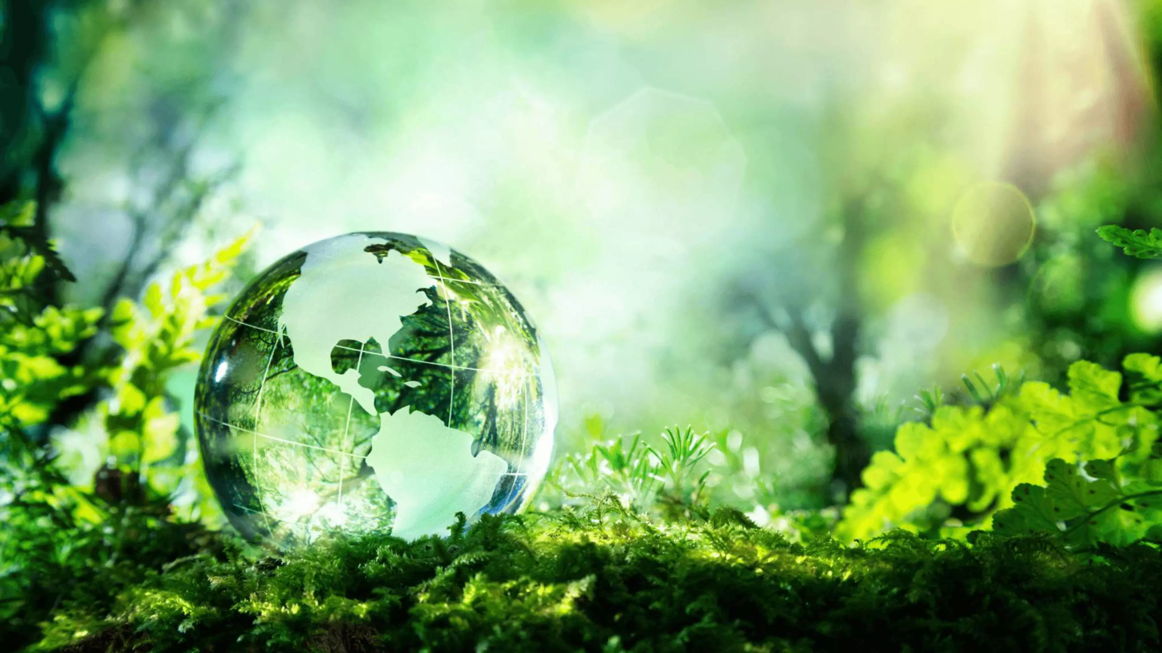 Konica Minolta отримала золоту медаль EcoVadis четвертий раз поспіль