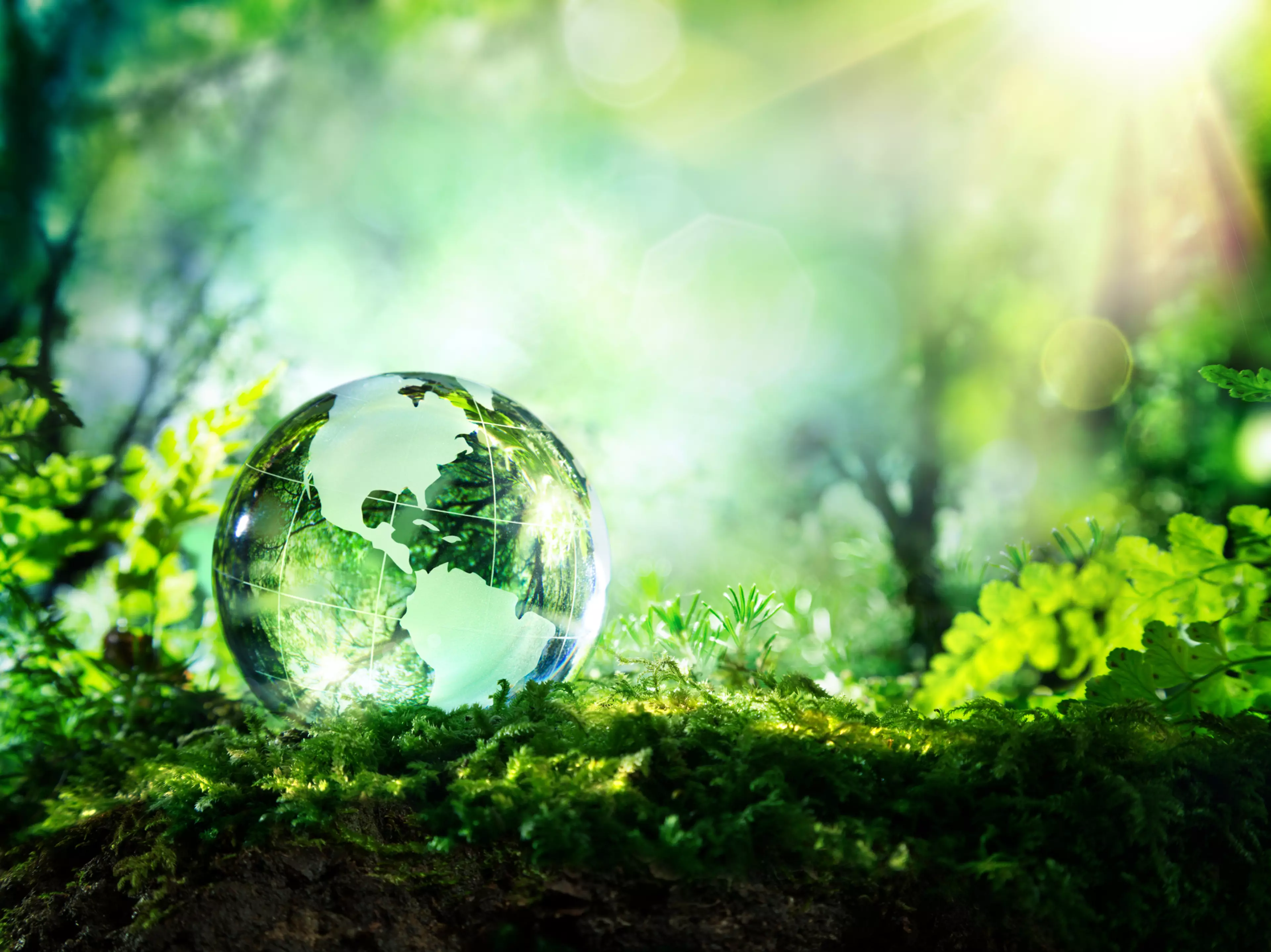 crystal globe resting on moss in a forest - environment concept.; Shutterstock ID 274566236; PO: Green; Job: KM Green Brochure; Client: Oliver Ukat