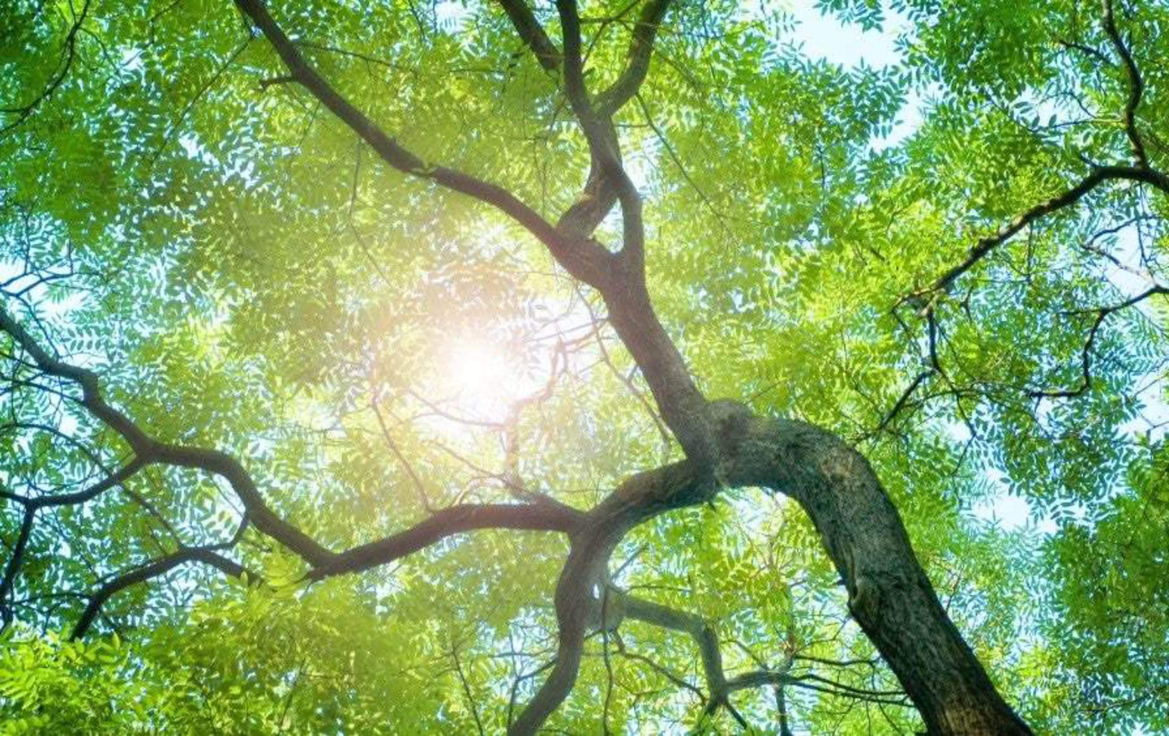Konica Minolta earns GOLD Level Recognition Medal in EcoVadis Sustainability Ratings for 4th straigh