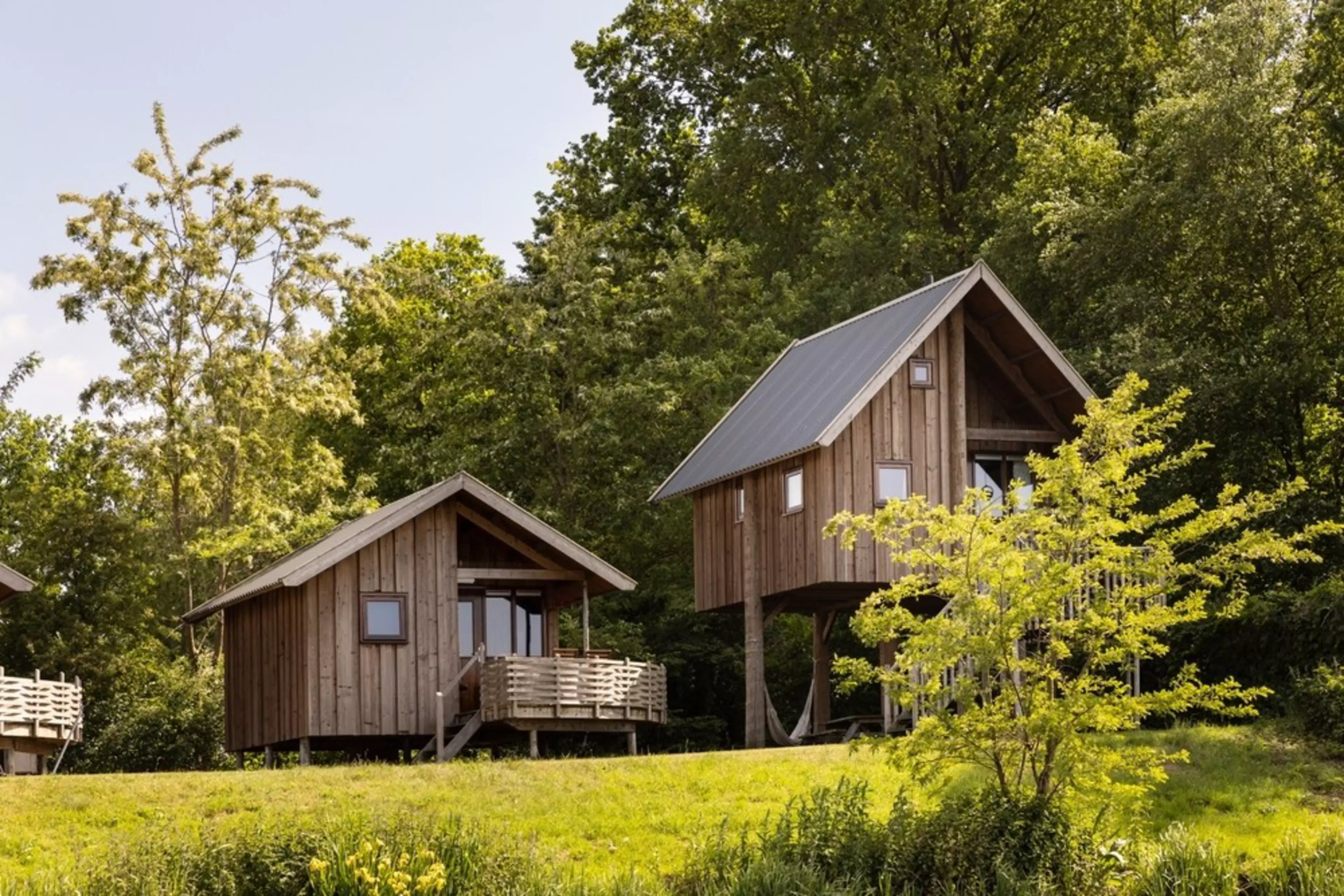 Wooden houses in nature or cabin in the woods, slow living lifestyle in a tiny house surrounded by trees, grass and greenery. Residential home made from wood, a durable sustainable material. Holiday
2595059581