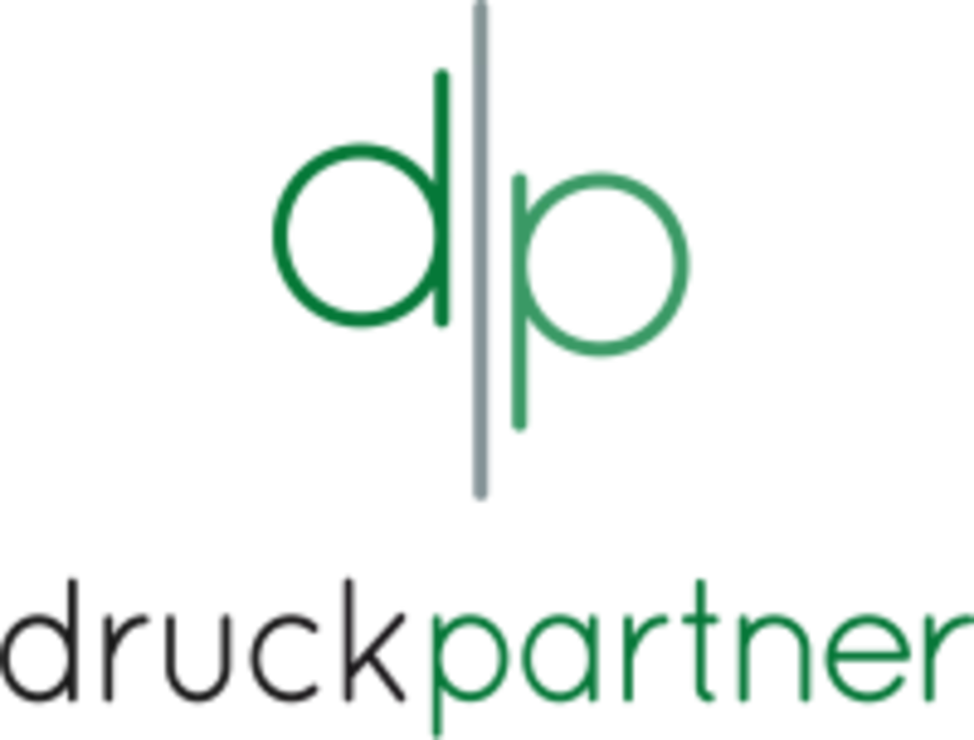 Druckpartner Logo