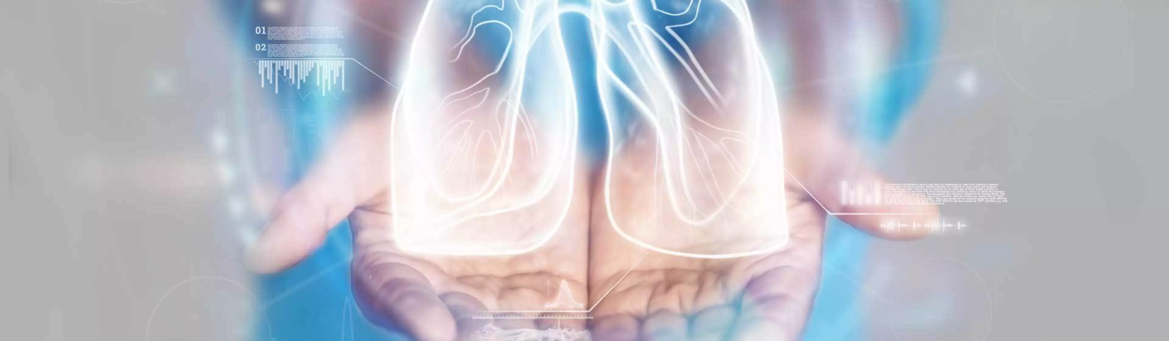 Effiziente Point of CareUltraschallbildgebungslösungenHeroSlider