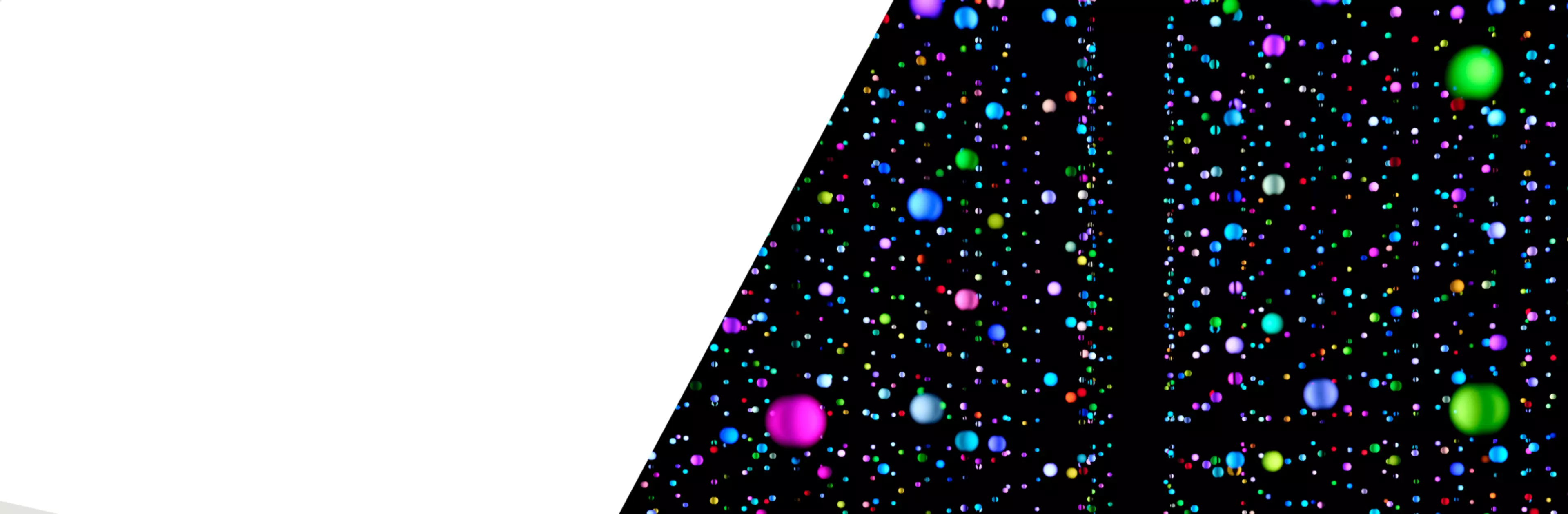 Sept 2024-Leadership Press Release header landscape - No logo