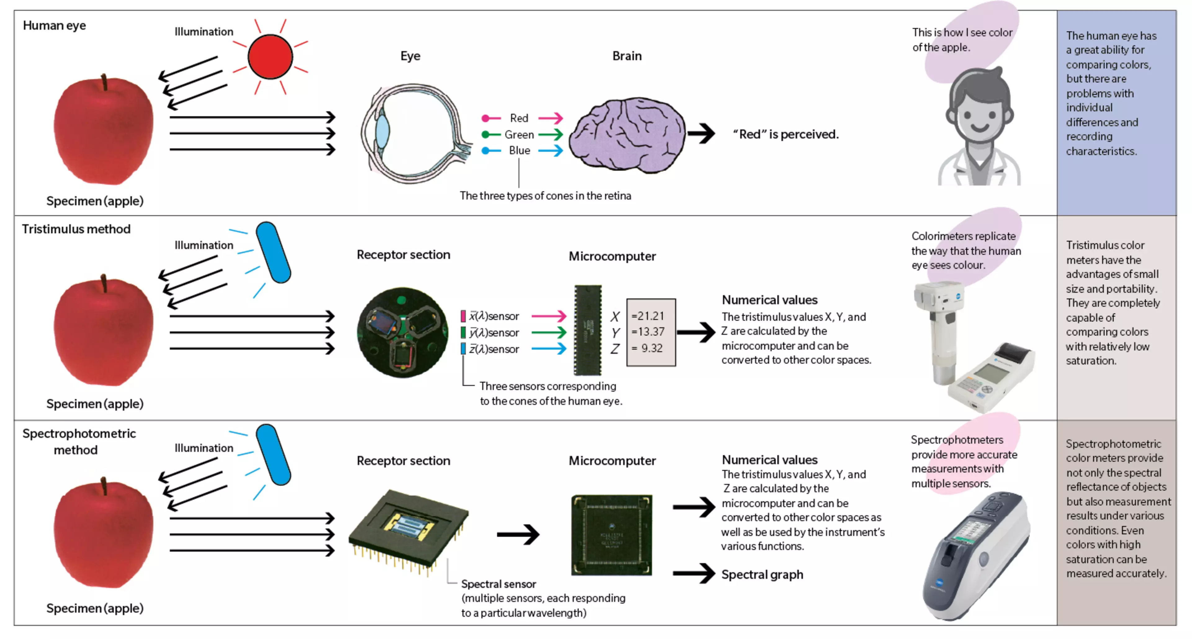How the eye, a colorimeter and a spectrophotometer "see" colour