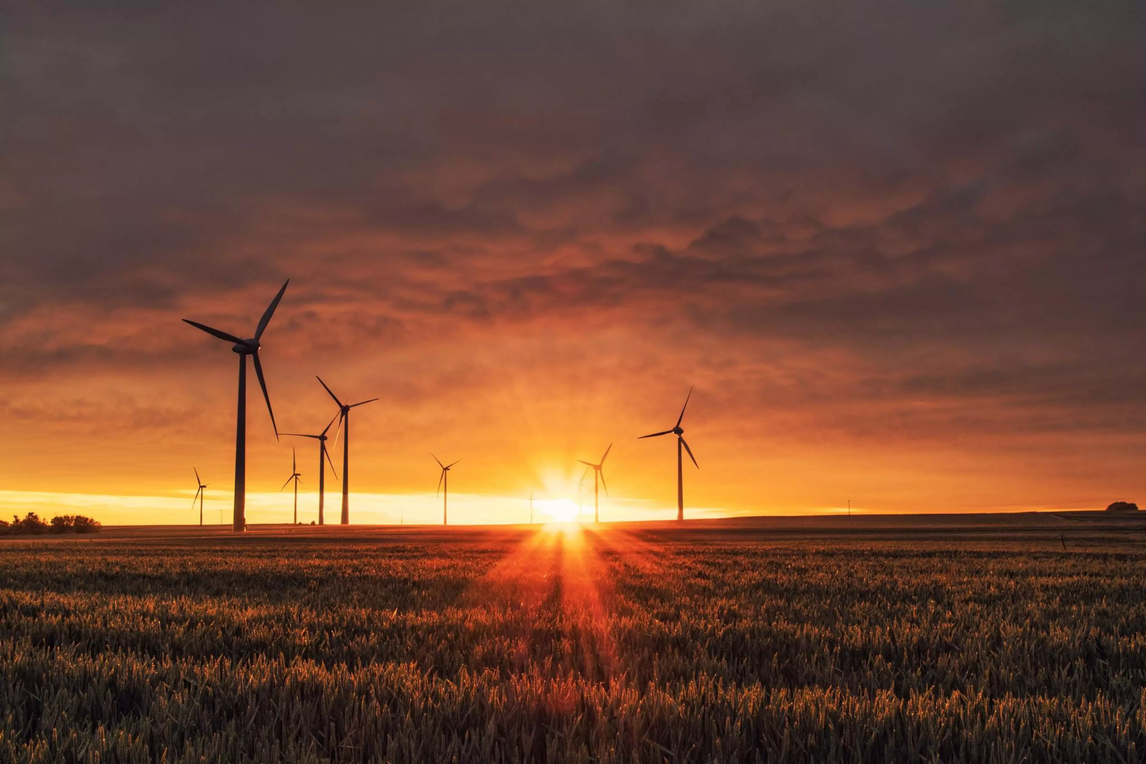 Konica Minolta earns top CDP rating, recognized in the 2021 Climate A list