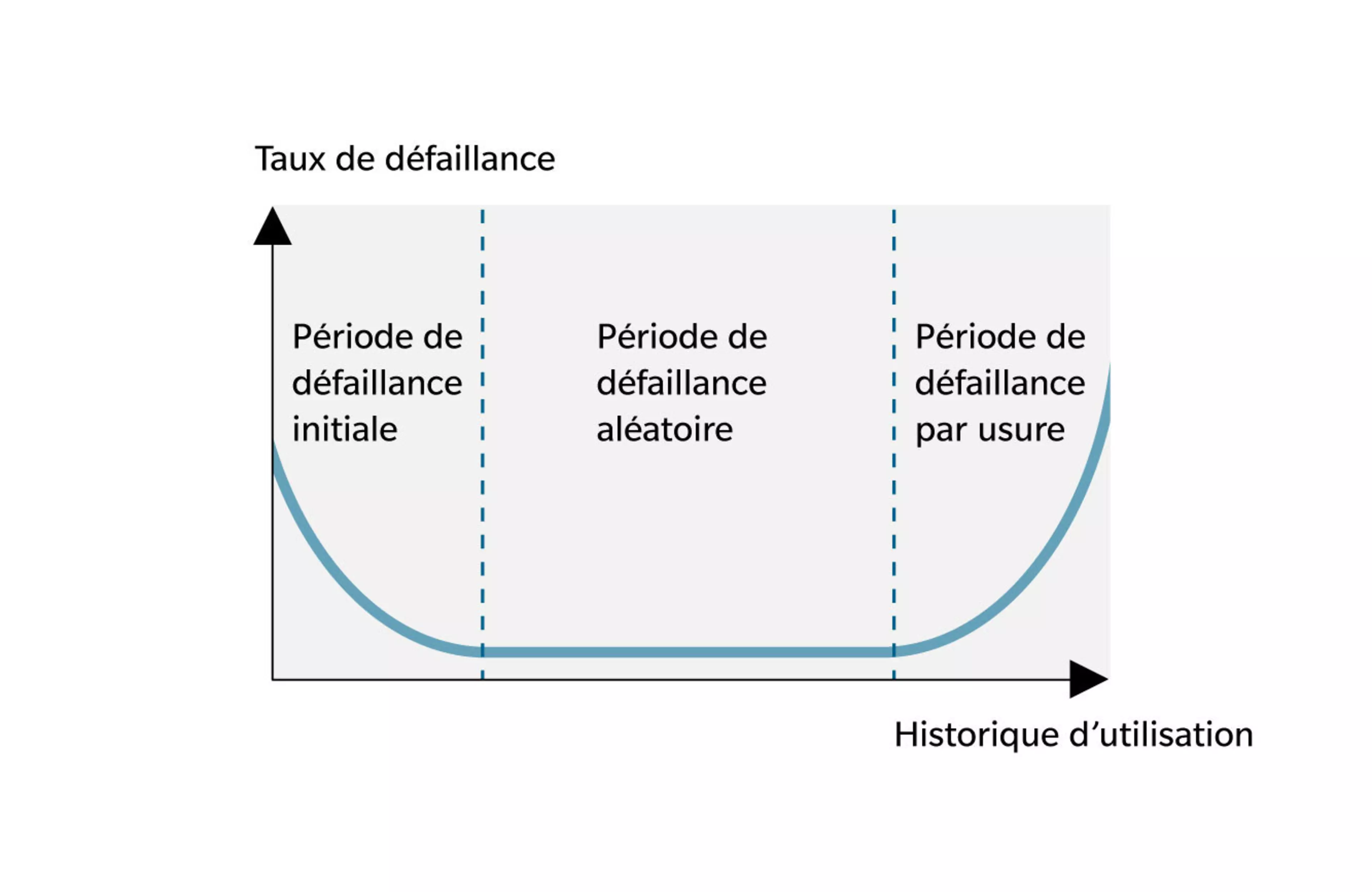 Website_service_webpage_new_visuals_2025