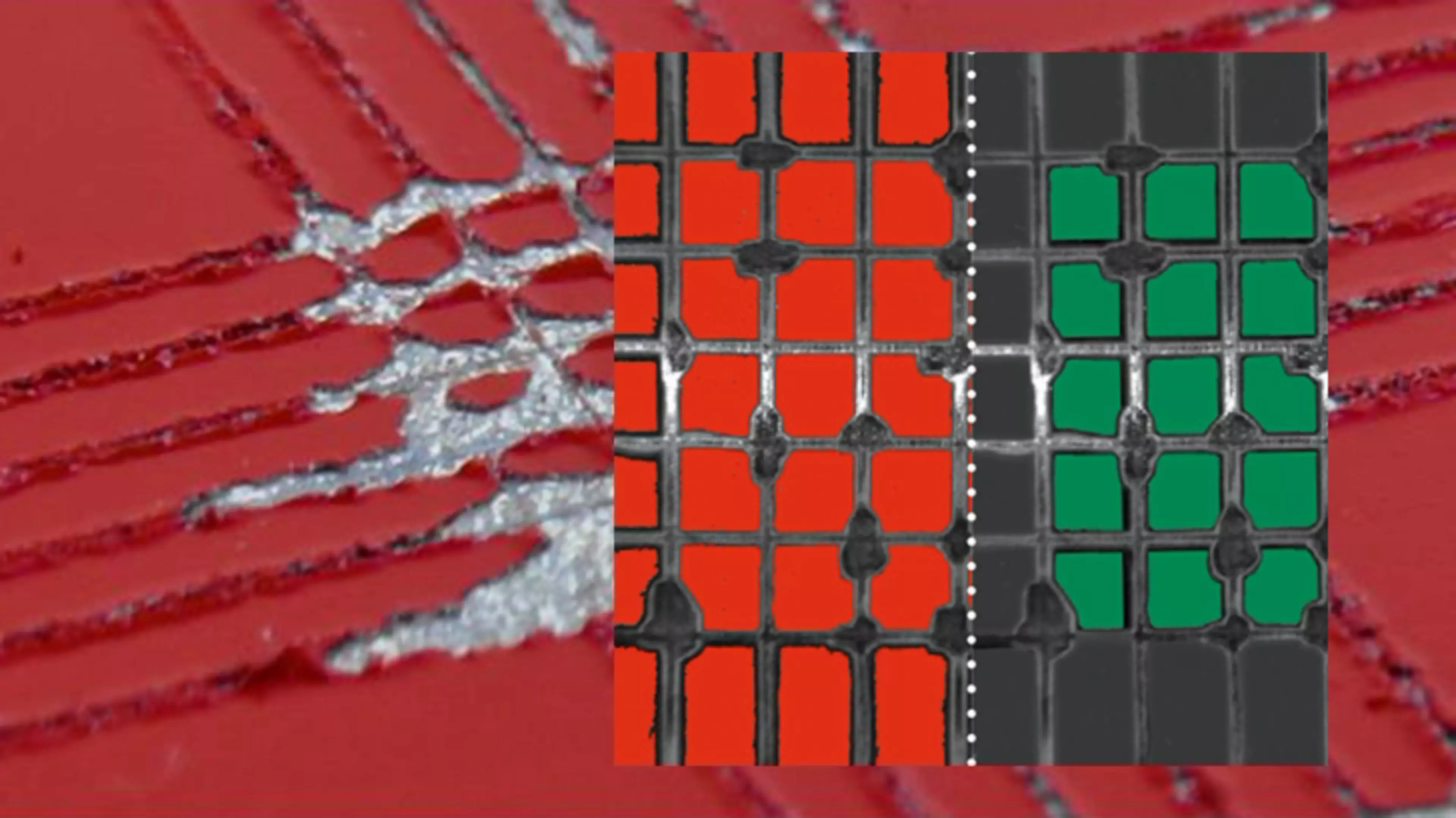 Crosscut visualisation