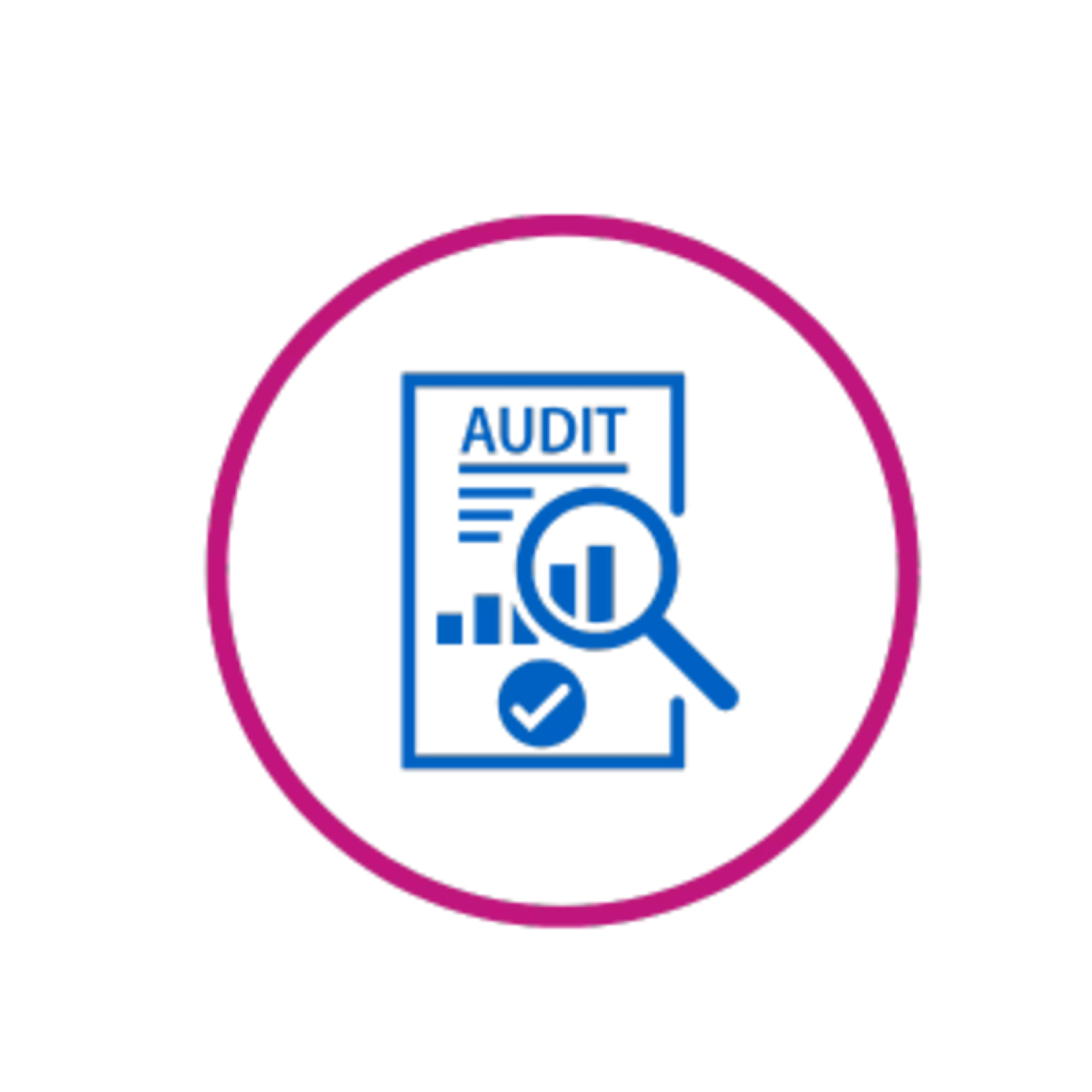 Pictos 300 X 300 - Audit
