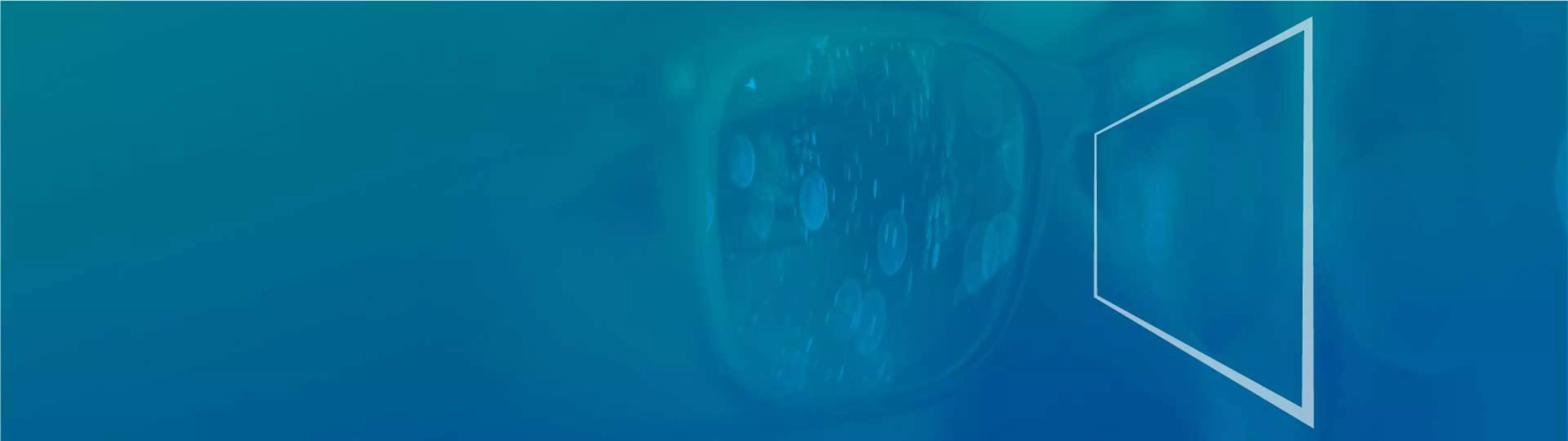 DX360° Analyse: Digitalen Reifegrad bestimmen | KONICA MINOLTAHeroSlider