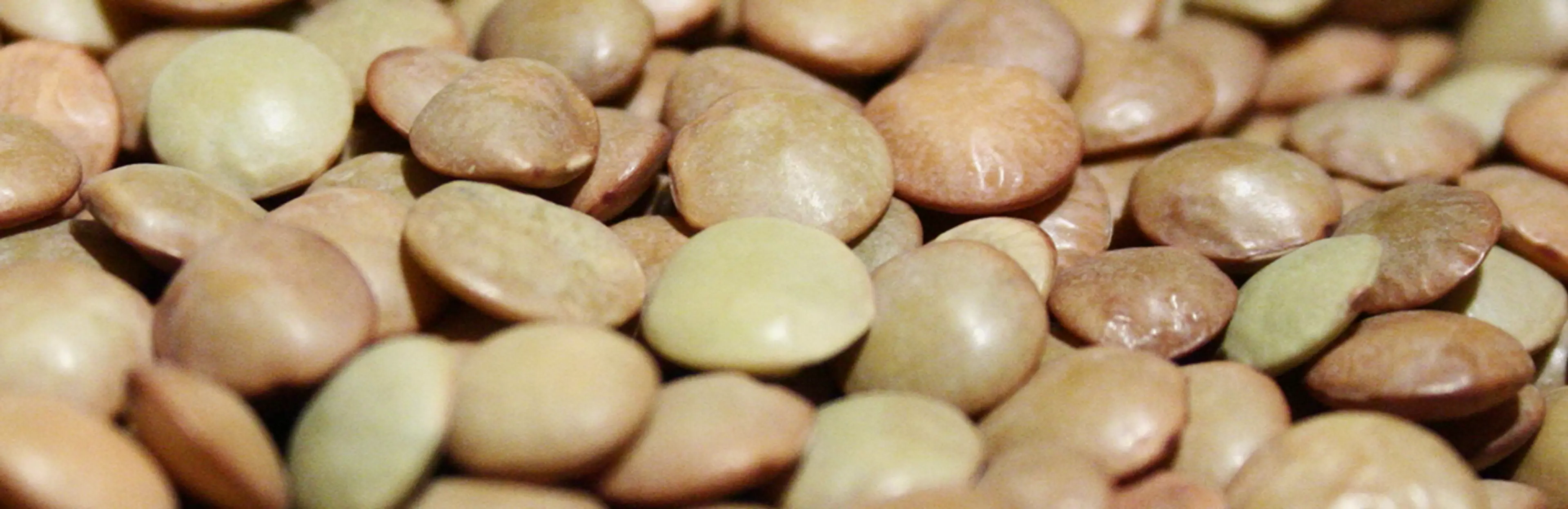 closeup photo of lentils