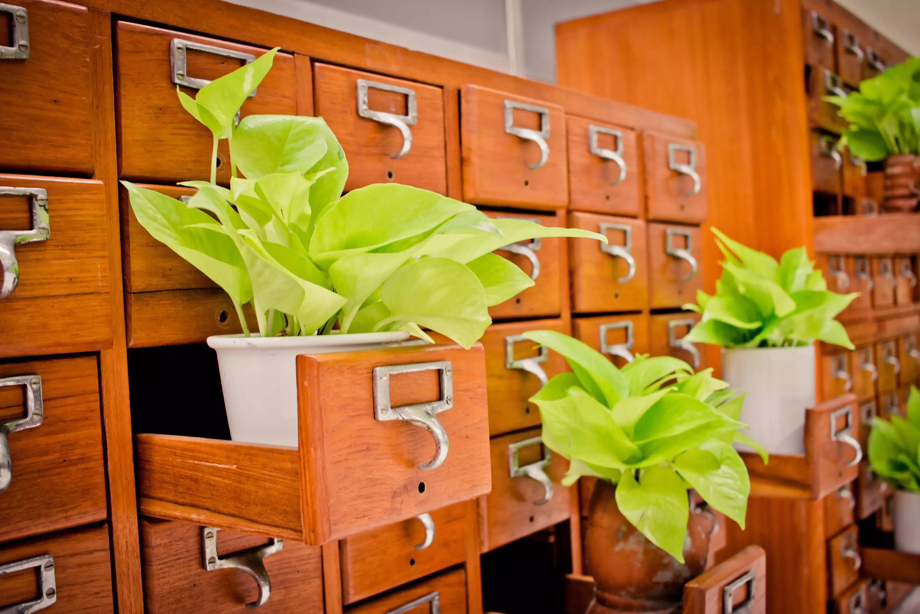 Cloud ArchivHeroSlider