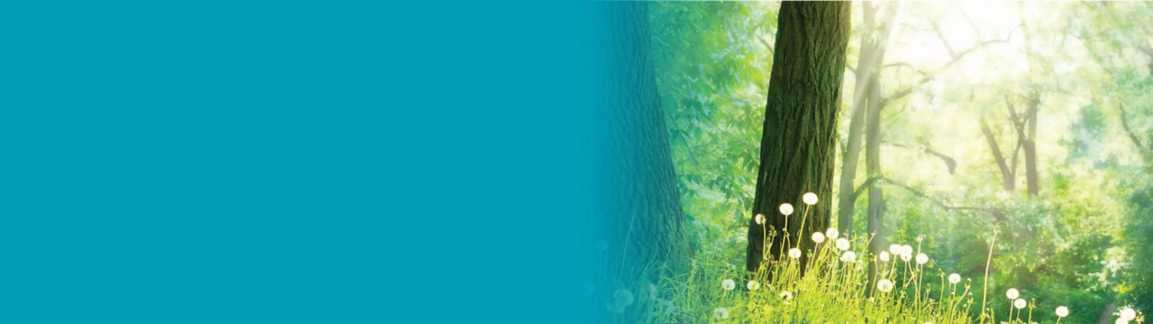 Branchenführer im Dow Jones Sustainability World Index 2017
