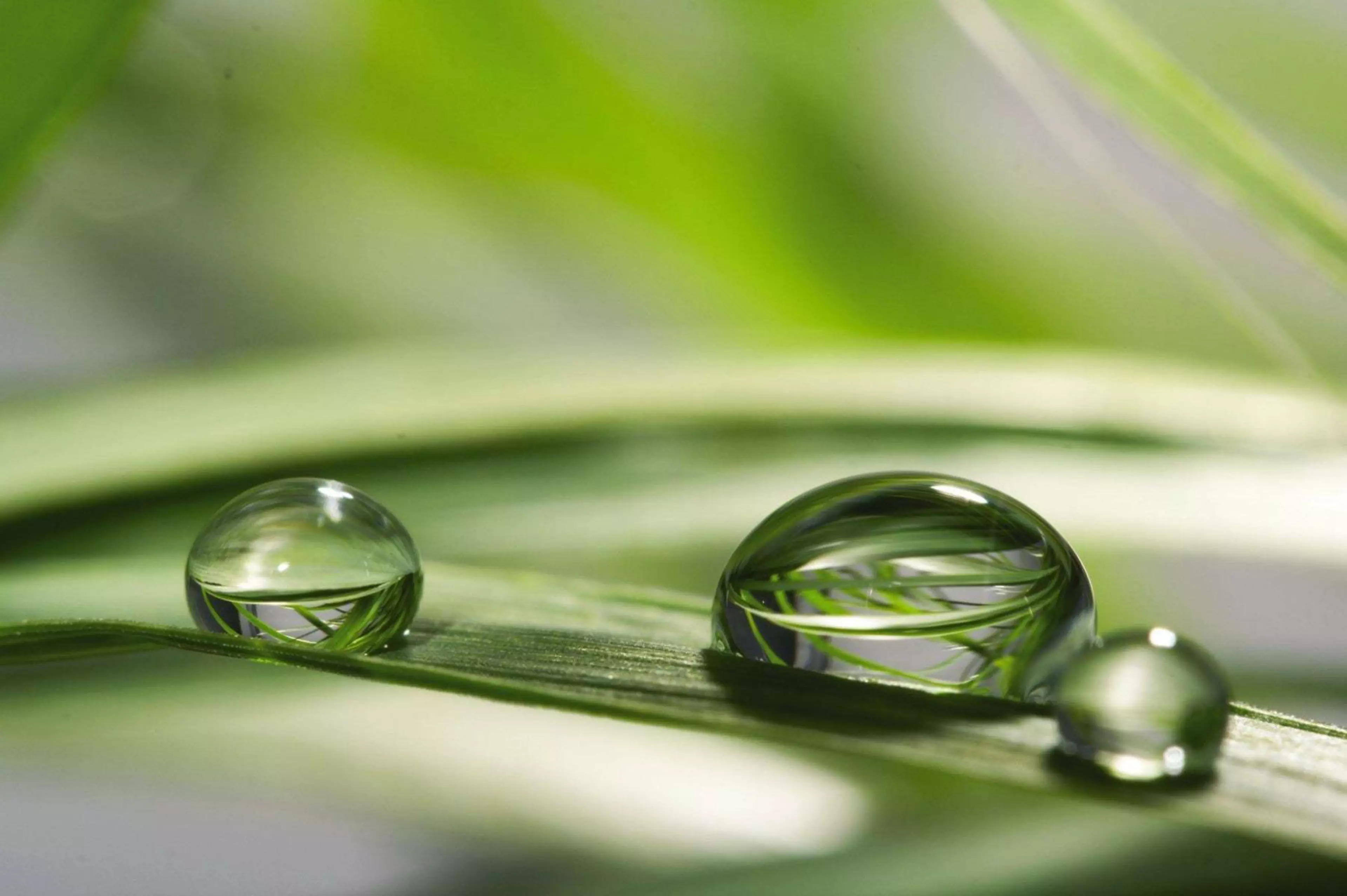 100 Most sustainable corporations